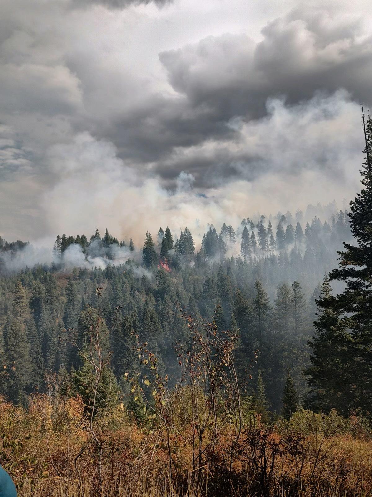 Successful operations on the Brush Prescribed Burn