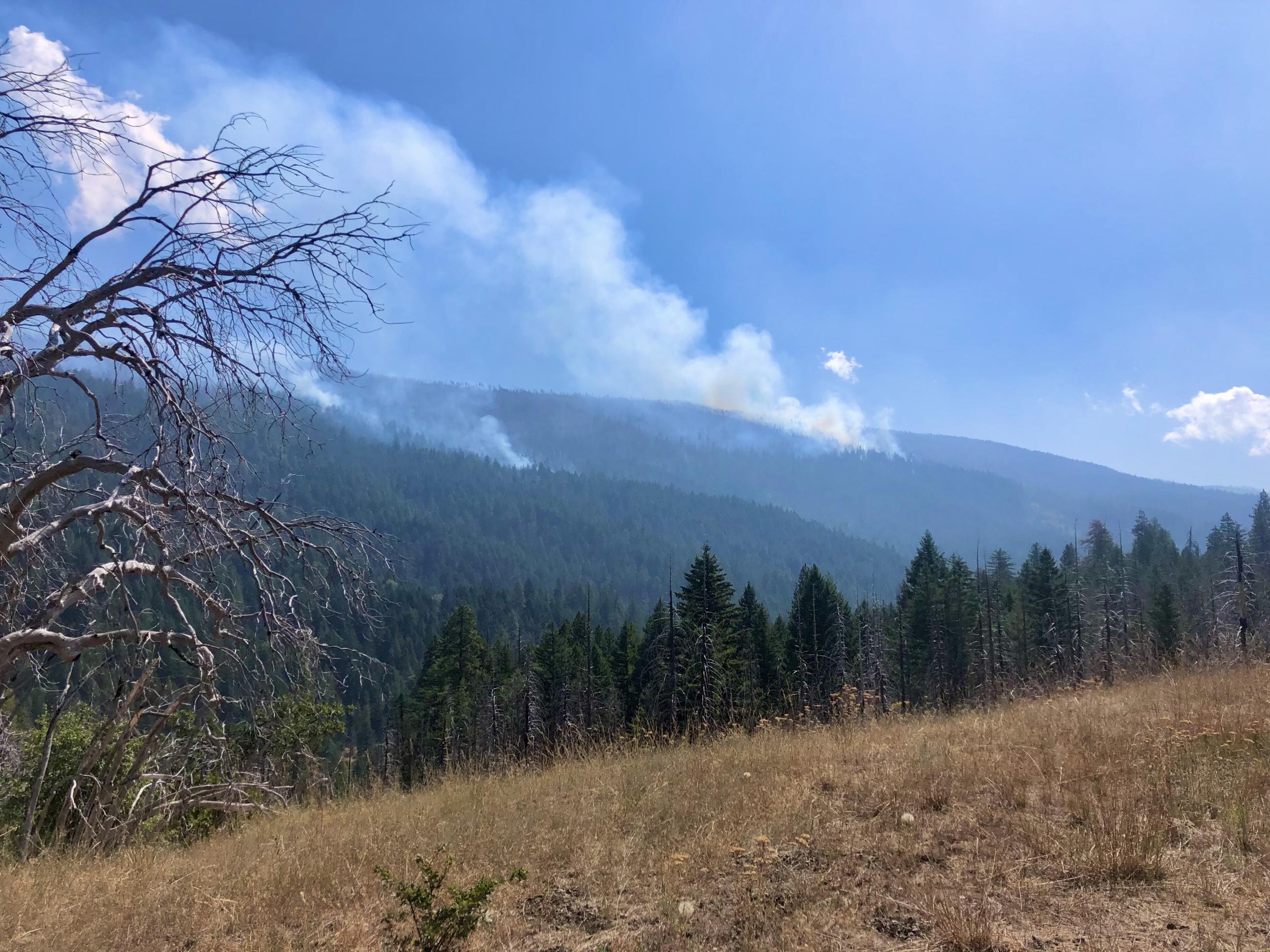 South Fork Complex burning in the distance