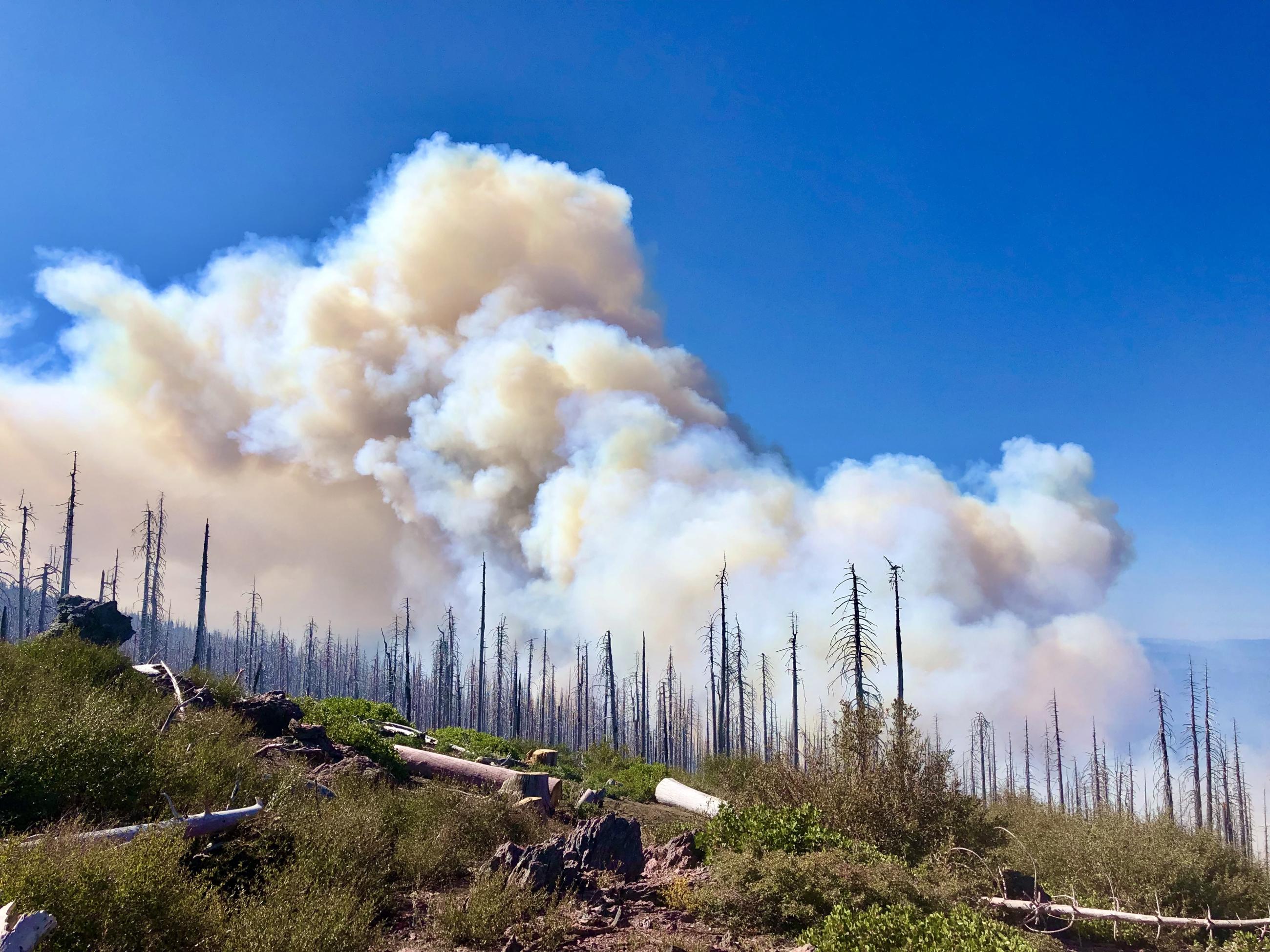 Smoke Column from South Fork Complex