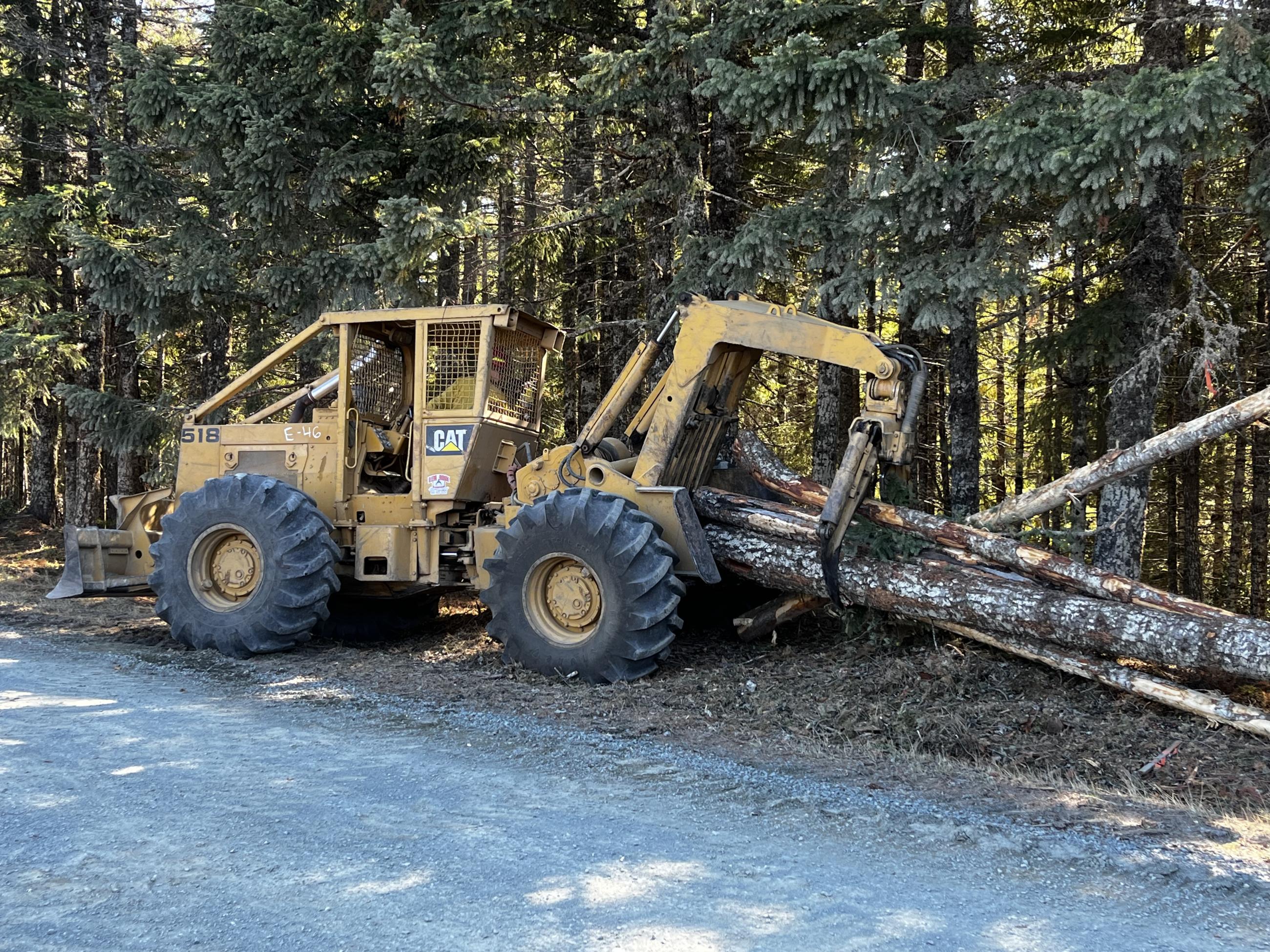 A grapple skidder, a large yellow piece of heavy equipment, bundles logs in a claw to move or stack them.