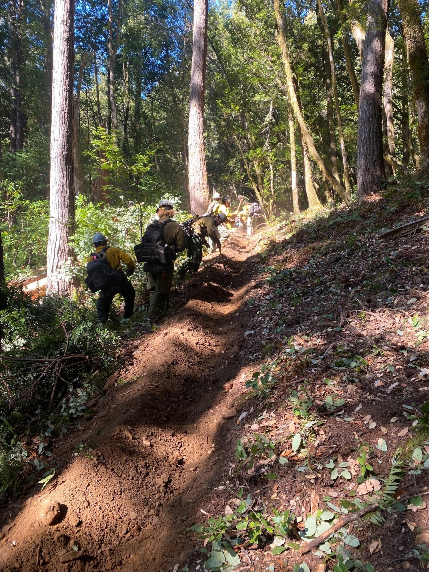 Wildland firefighters in green and yellow Nomex, hardhats, and carrying tools dig handline in the dirt.