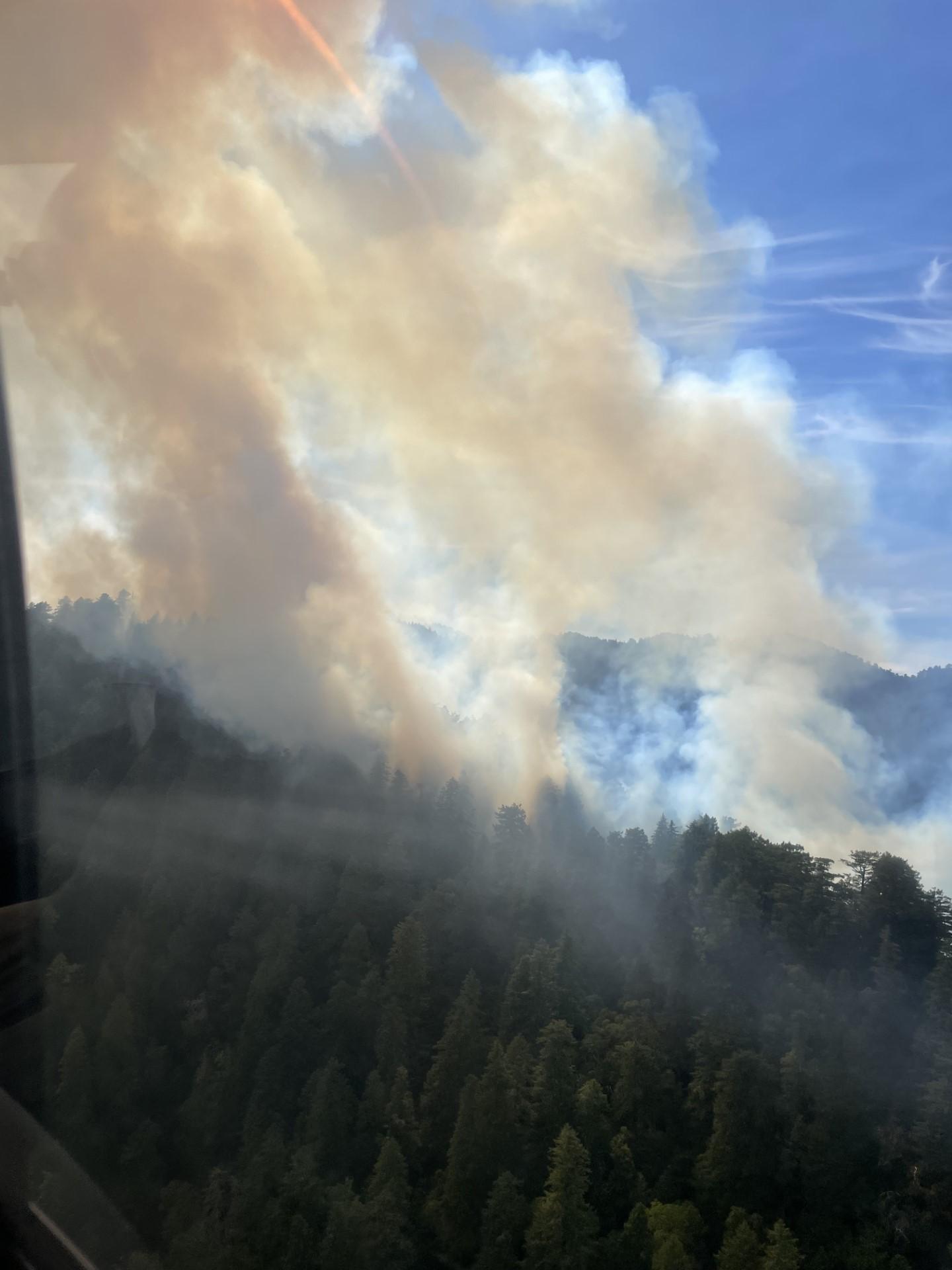 Photo of wildfire smoke rising off a mountain full of trees against a blue sky.