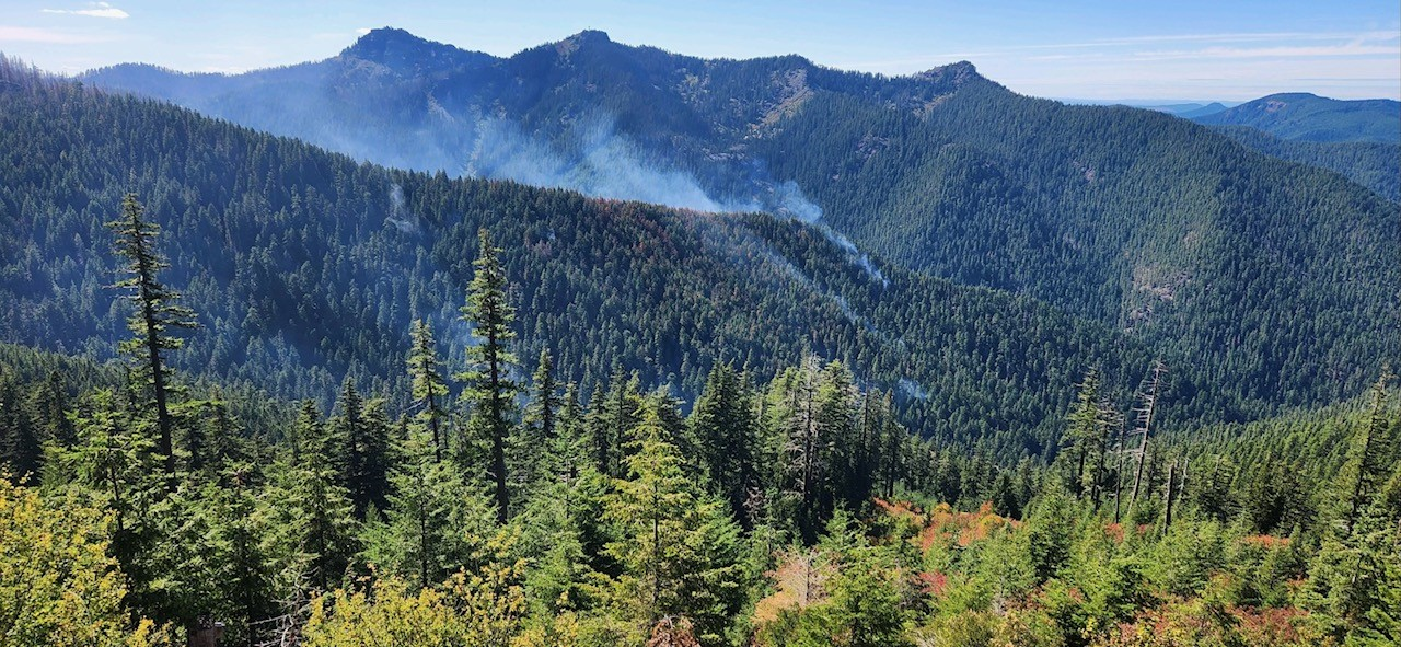 Areial view of the Grizzly Fire, showing some smoke