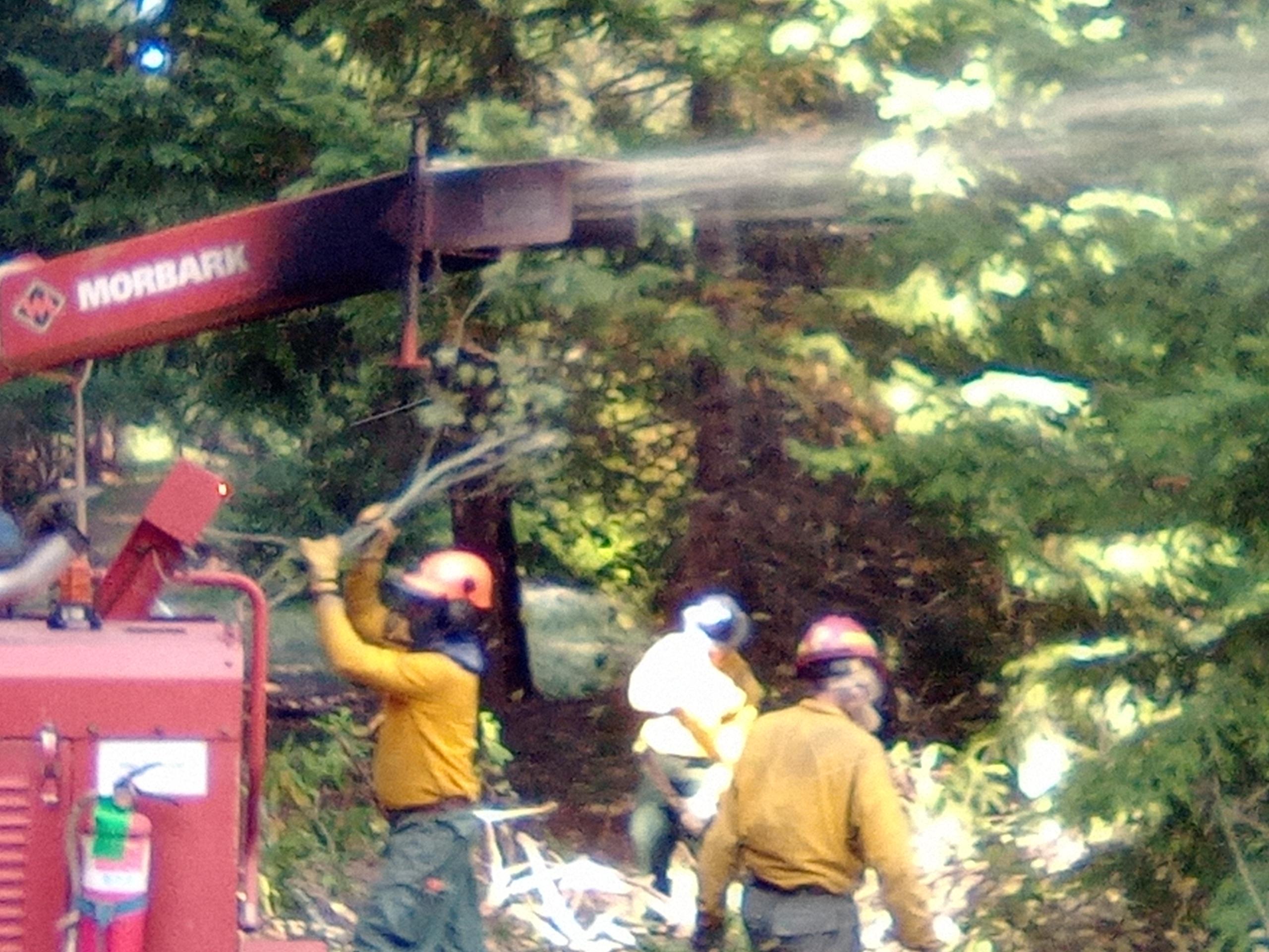 Firefighter loading woody debris into chipper while two others gather more debris