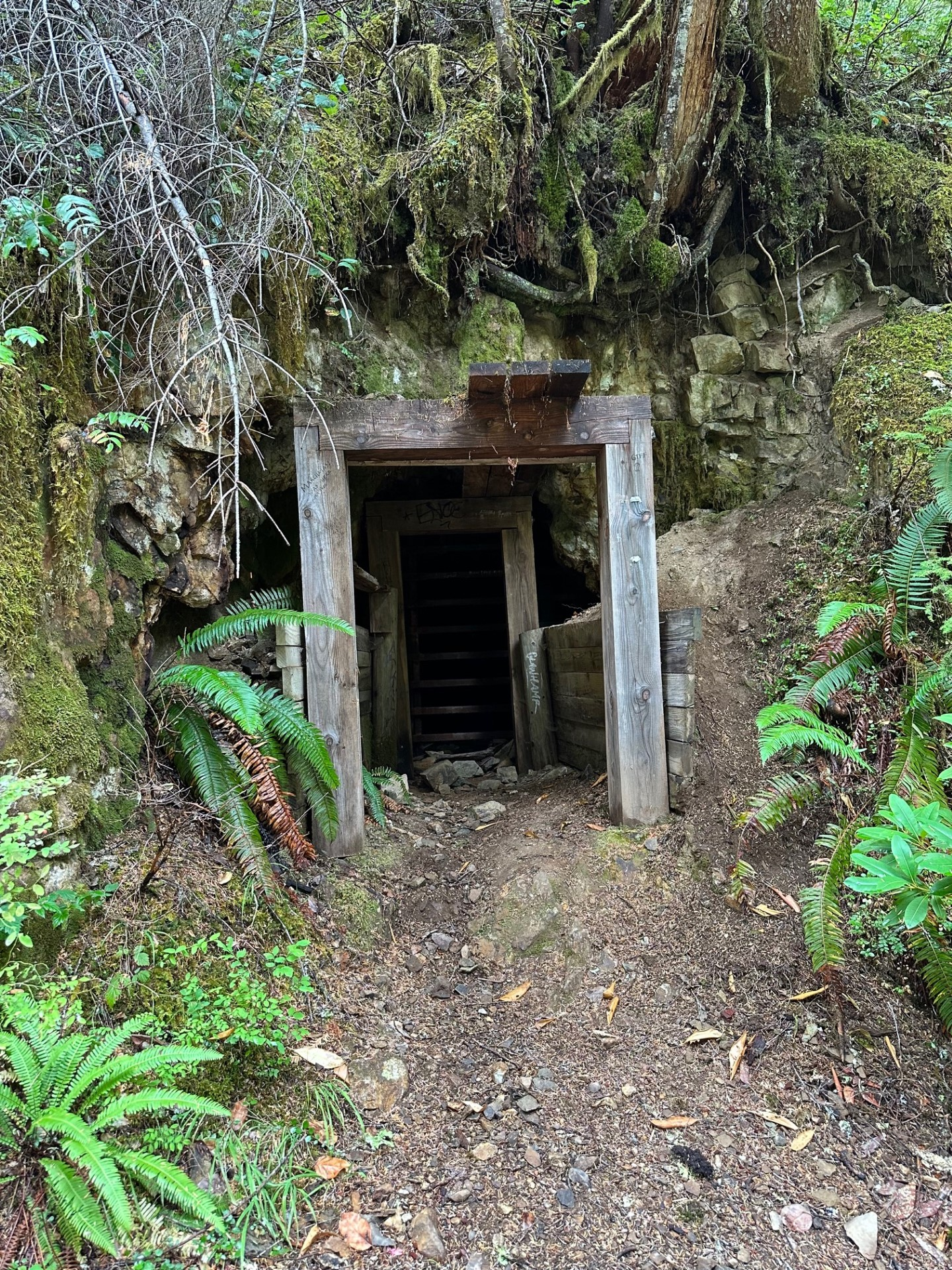 The opening to a mine shaft surrounded by flammable vegetation