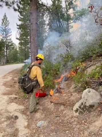 A firefighter carrying a driptorch monitors a fire in a forest