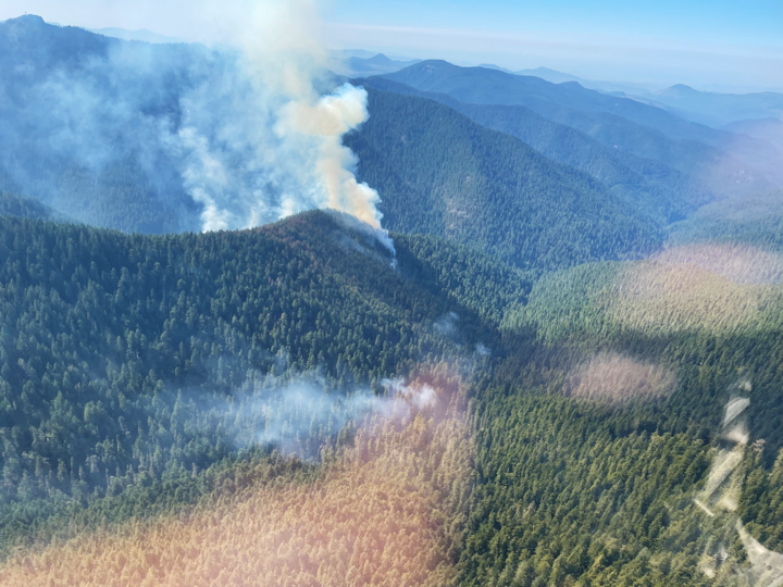 Smoke rises from a forested hillside