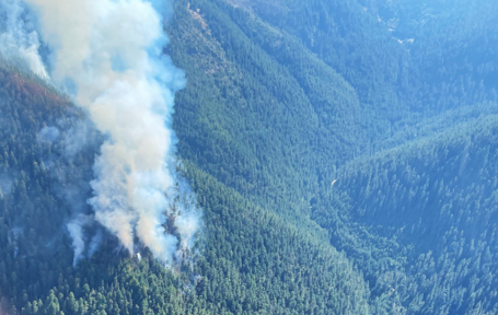 Smoke rises from a forested hillside