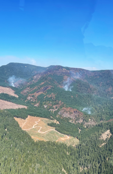 Pockets of smoke burn off a hillside from corresponding patches of browned trees