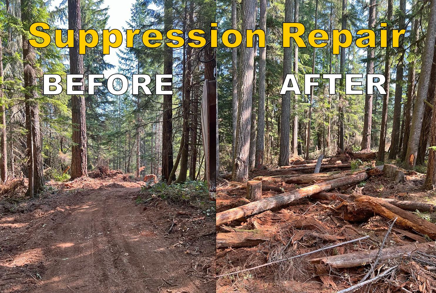 Fireline suppression repair before and after