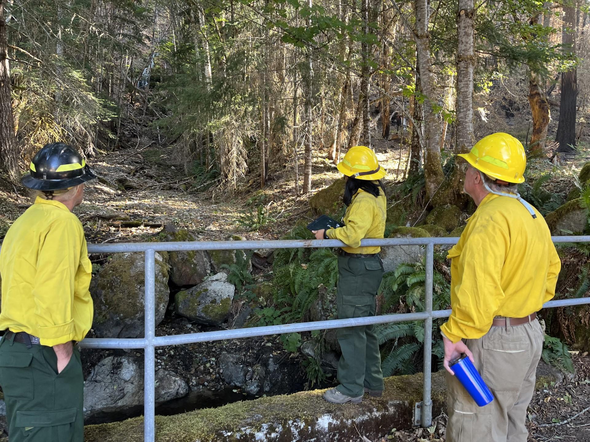 Three people in yellow shirts and helmets stand on a bridge next to a metal fence overlooking a creek