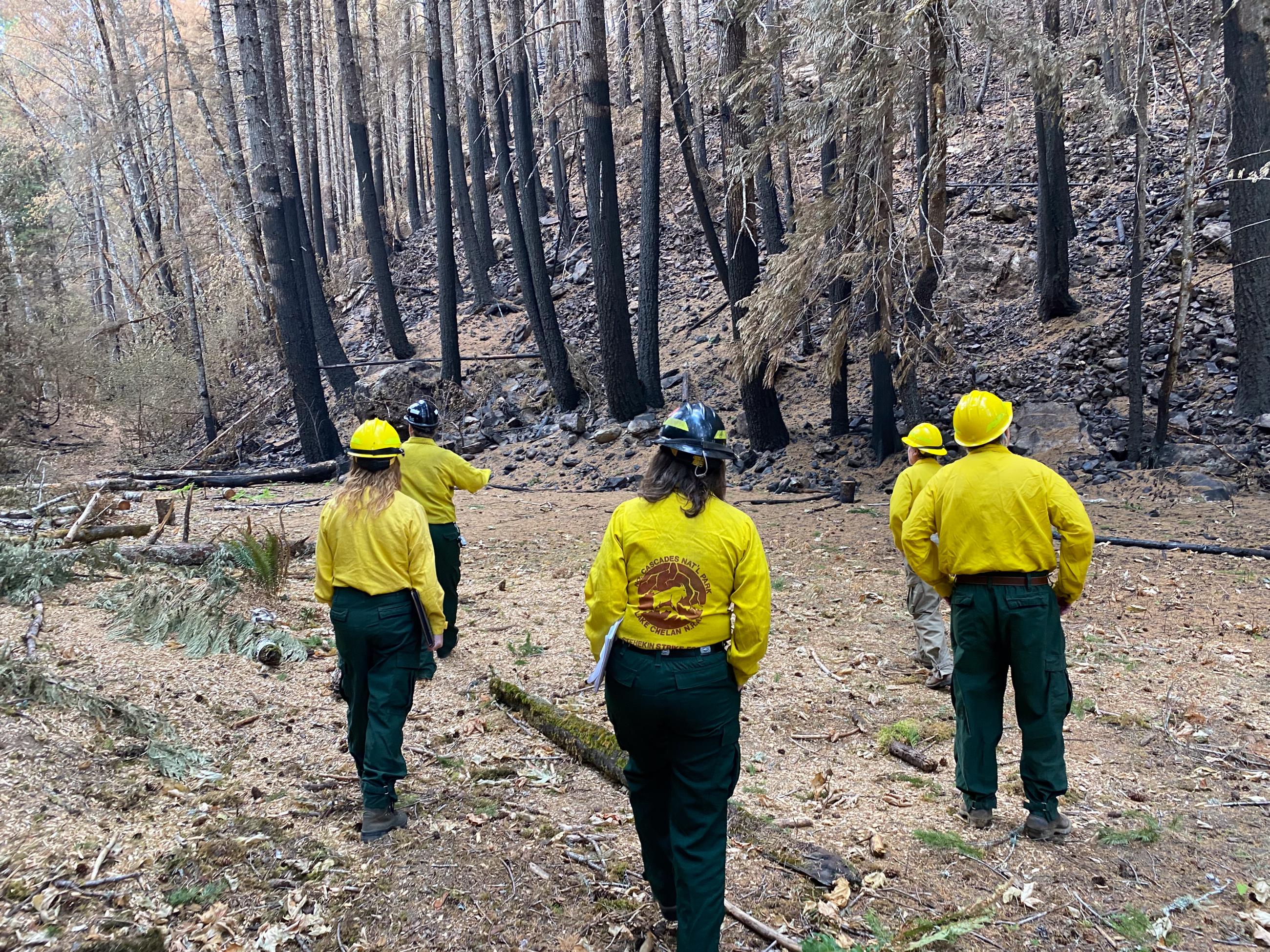 Five scientists in yellow shirts, green pants, and helmets walk through a semi-burnt forest