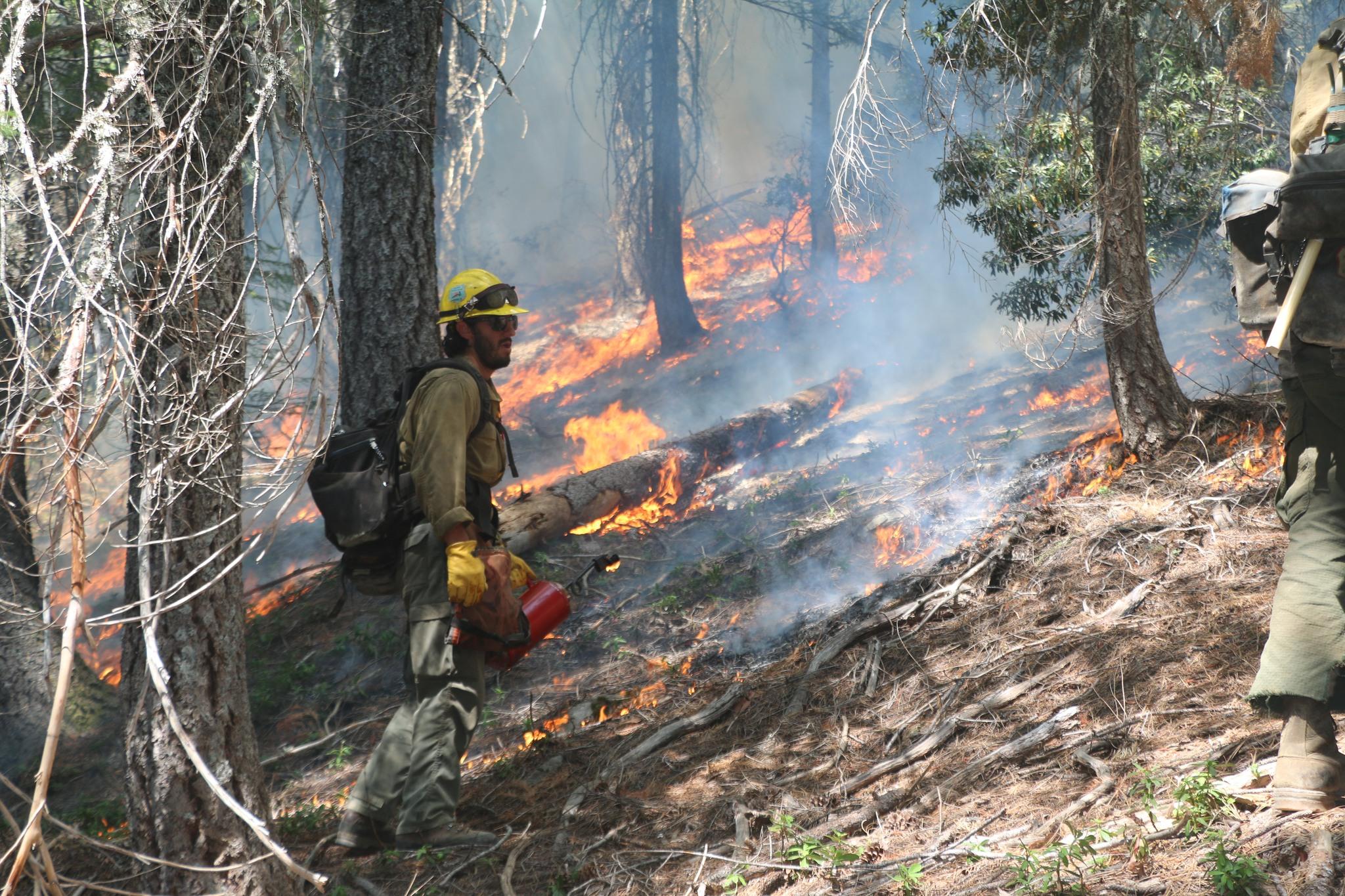 Firefighter stands on a hillside holding a drip torch