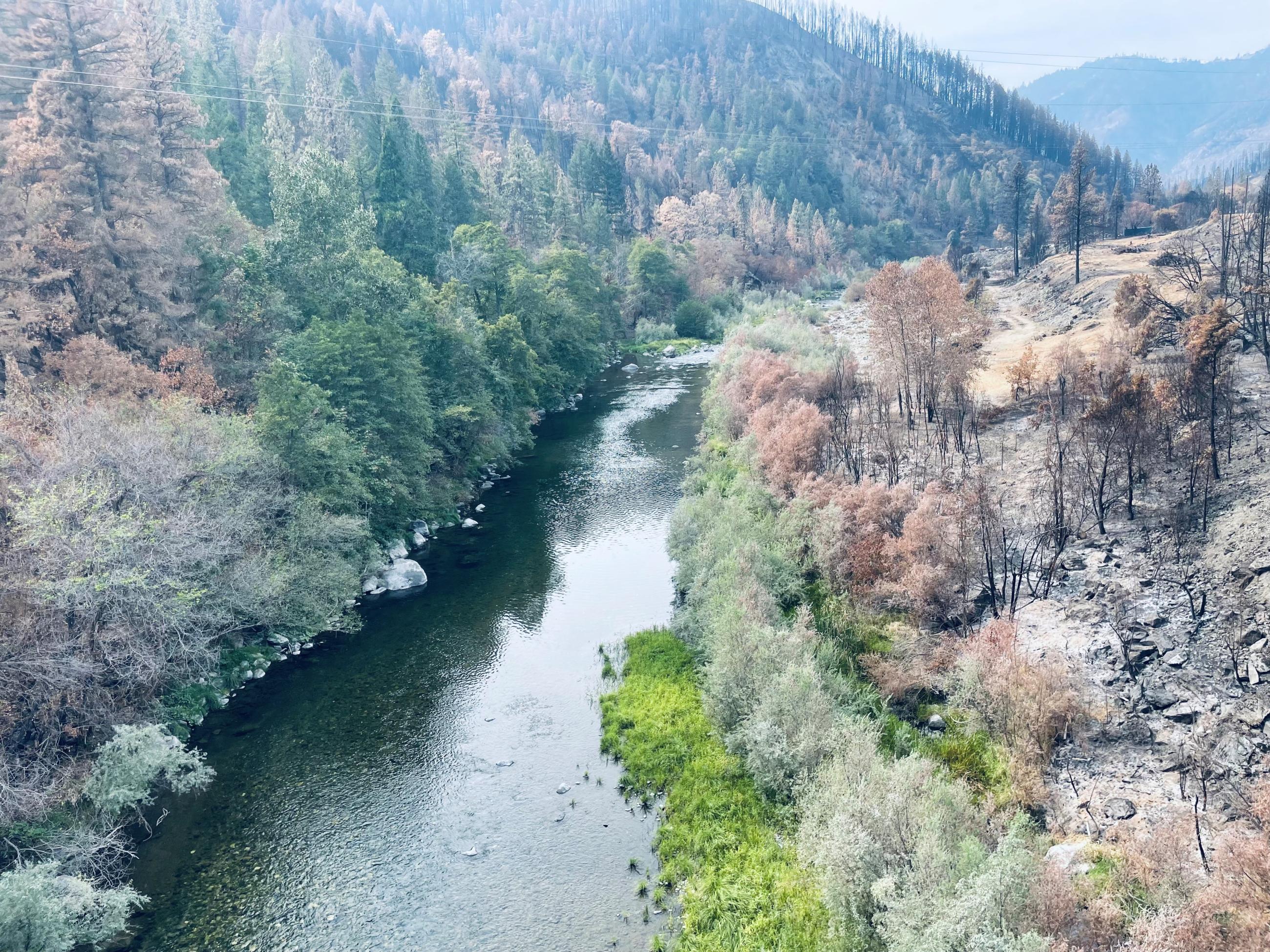 Some Burned Areas Along the Scott River Riparian Zones