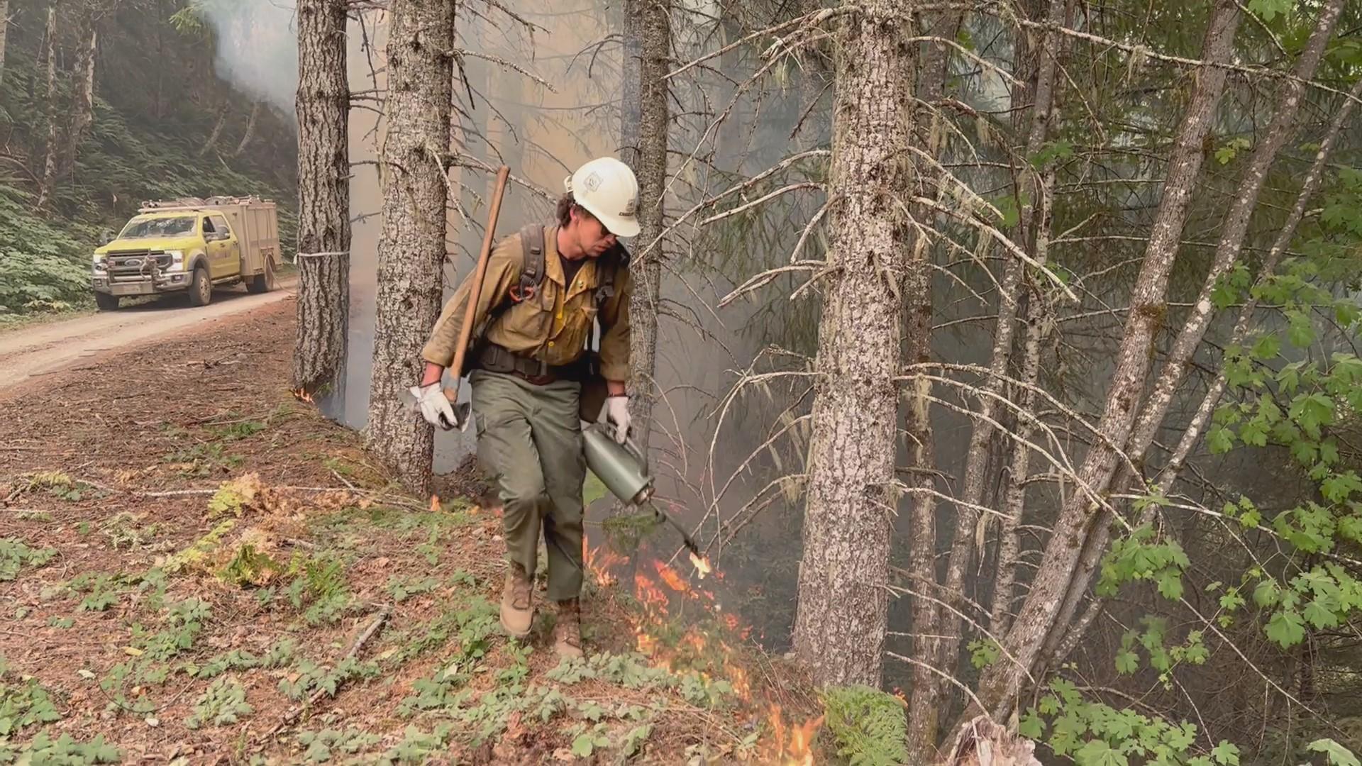 Strategic firing operation on the southeastern corner of the Kelly Fire, Smith River Complex South September 14, 2023. 