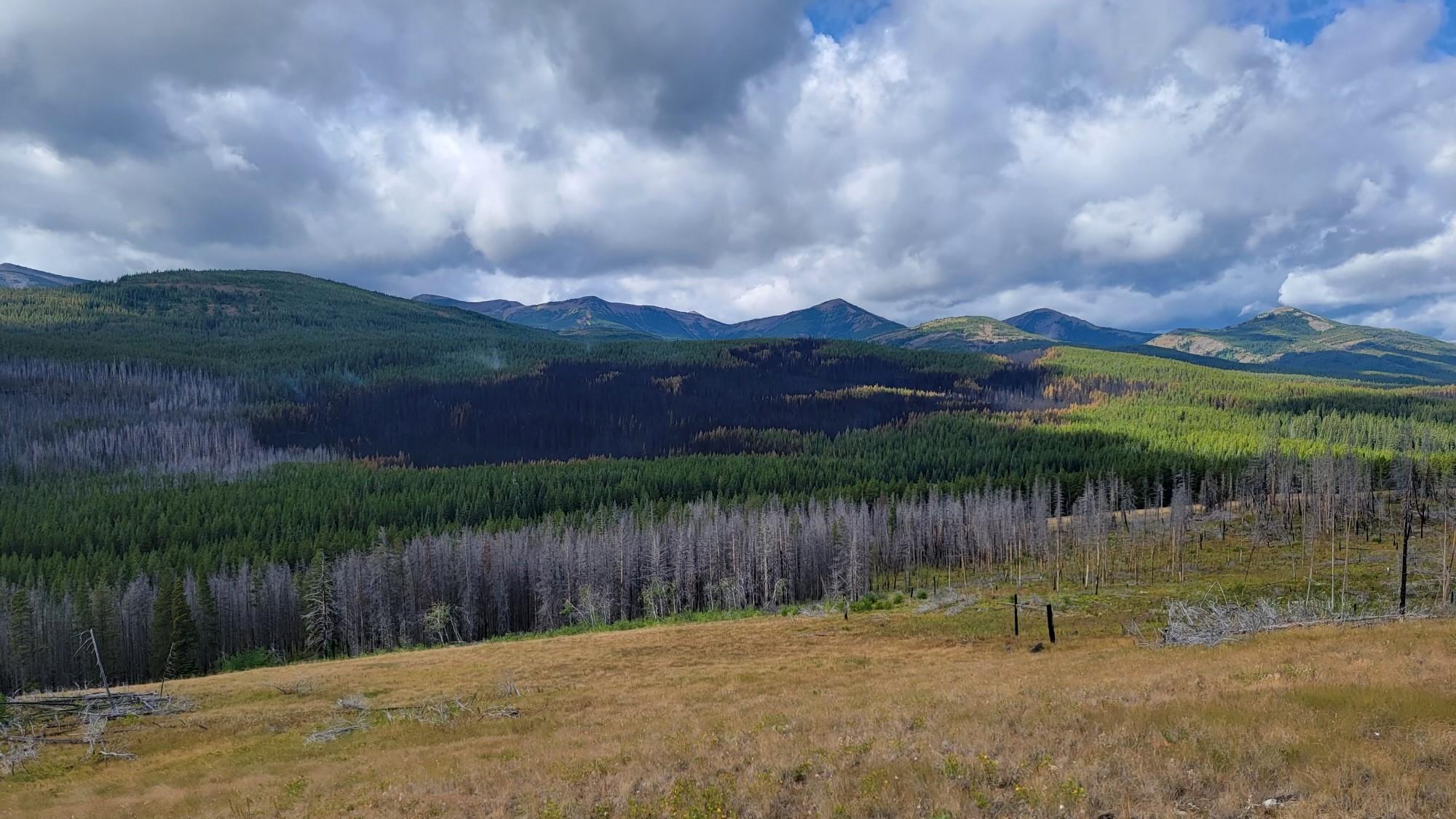 Sidney Fire on August 22 shows a black fire footprint next to a 2017 fire footprint with small smoke visible in the background.