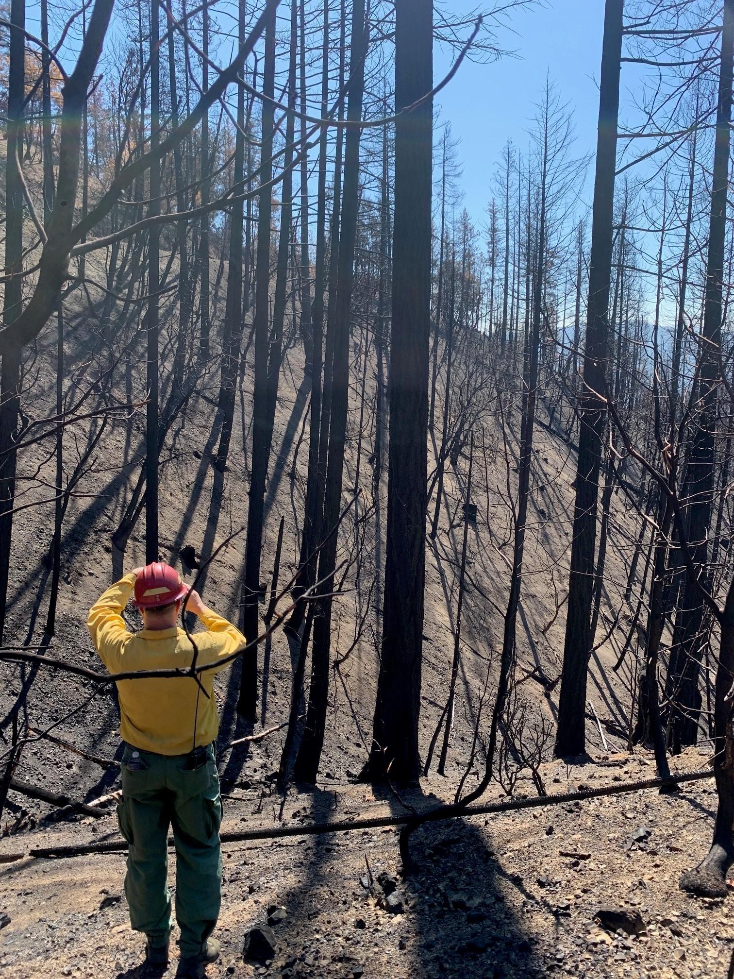 BAER Specialist assessing slope burned areas within the Head Fire