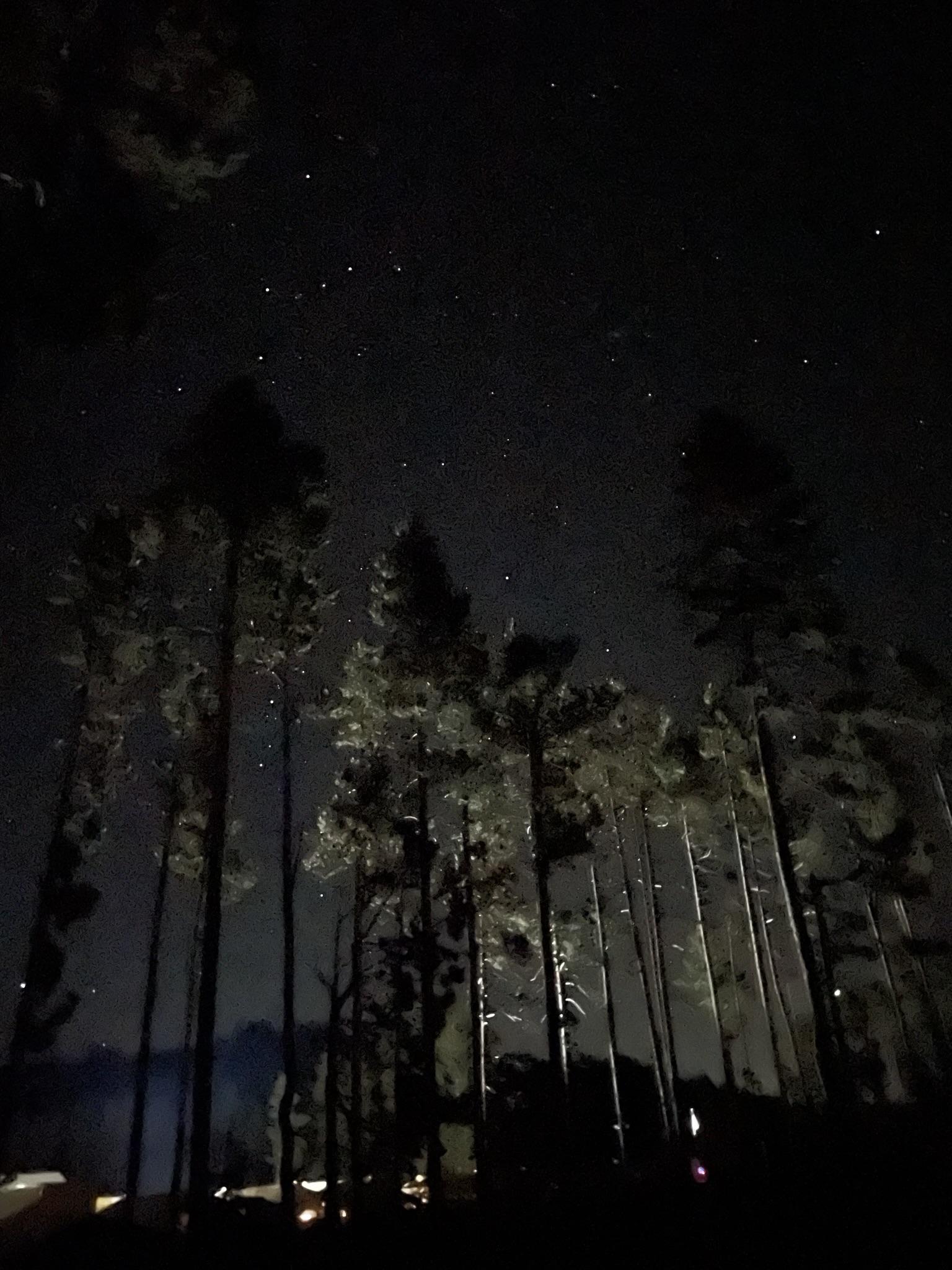 Petes Lake Fire Stars Over Camp 