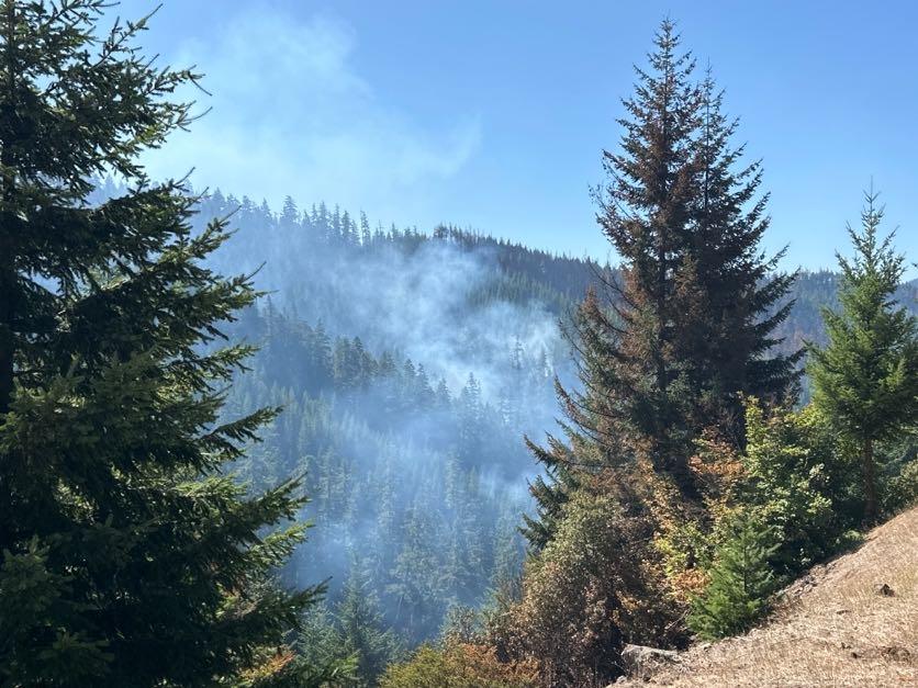 Brice Creek Fire