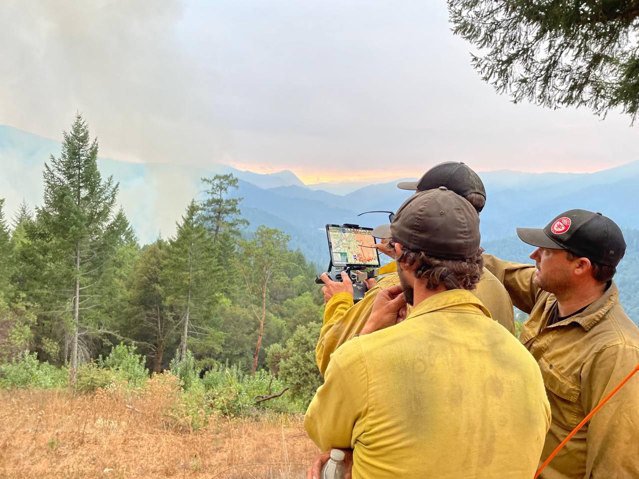 three firefighters looking at a hand-held computer while standing in a forest