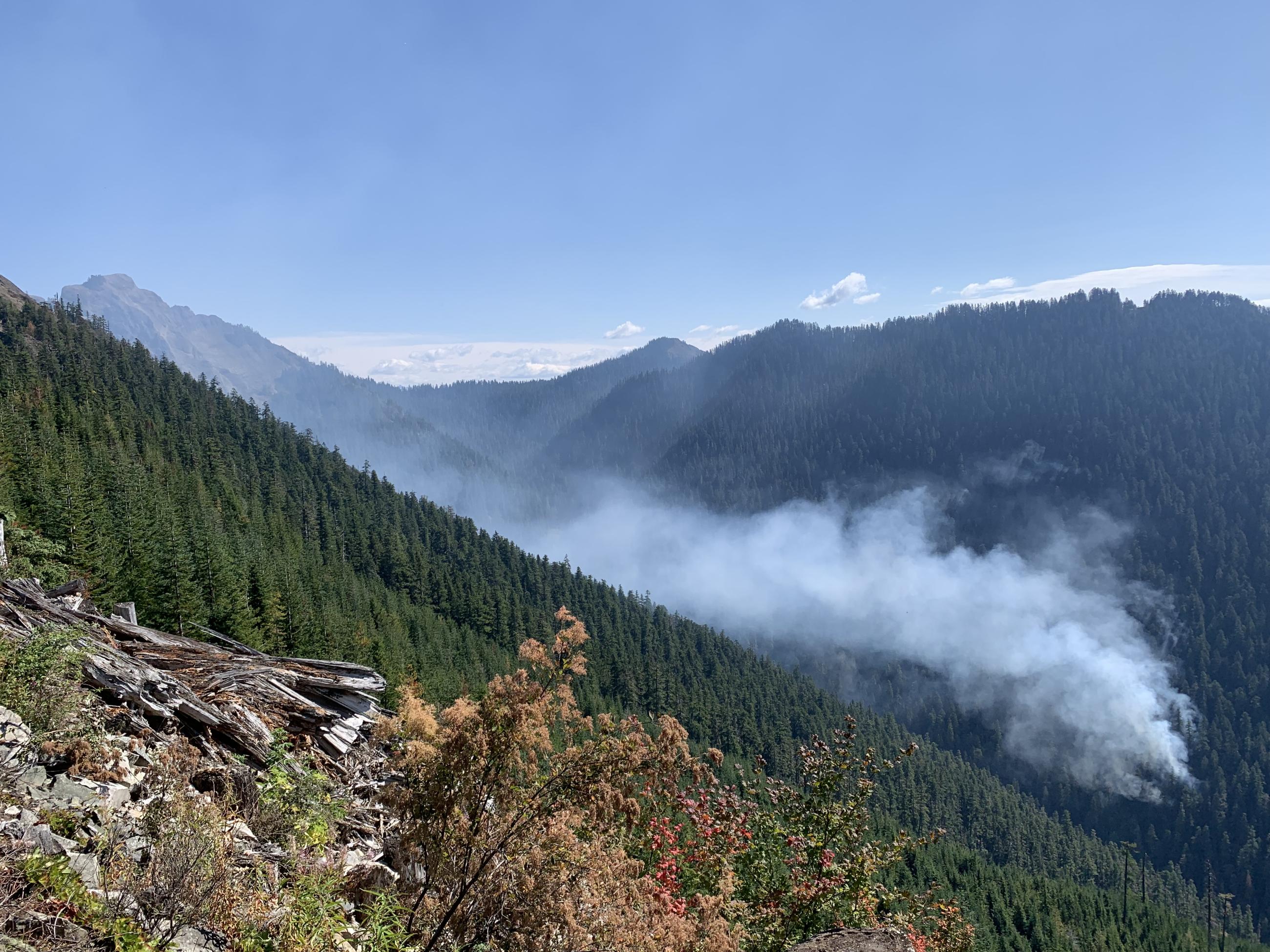 Smoke drifts through the timber on the Grassy Mountain Fire.