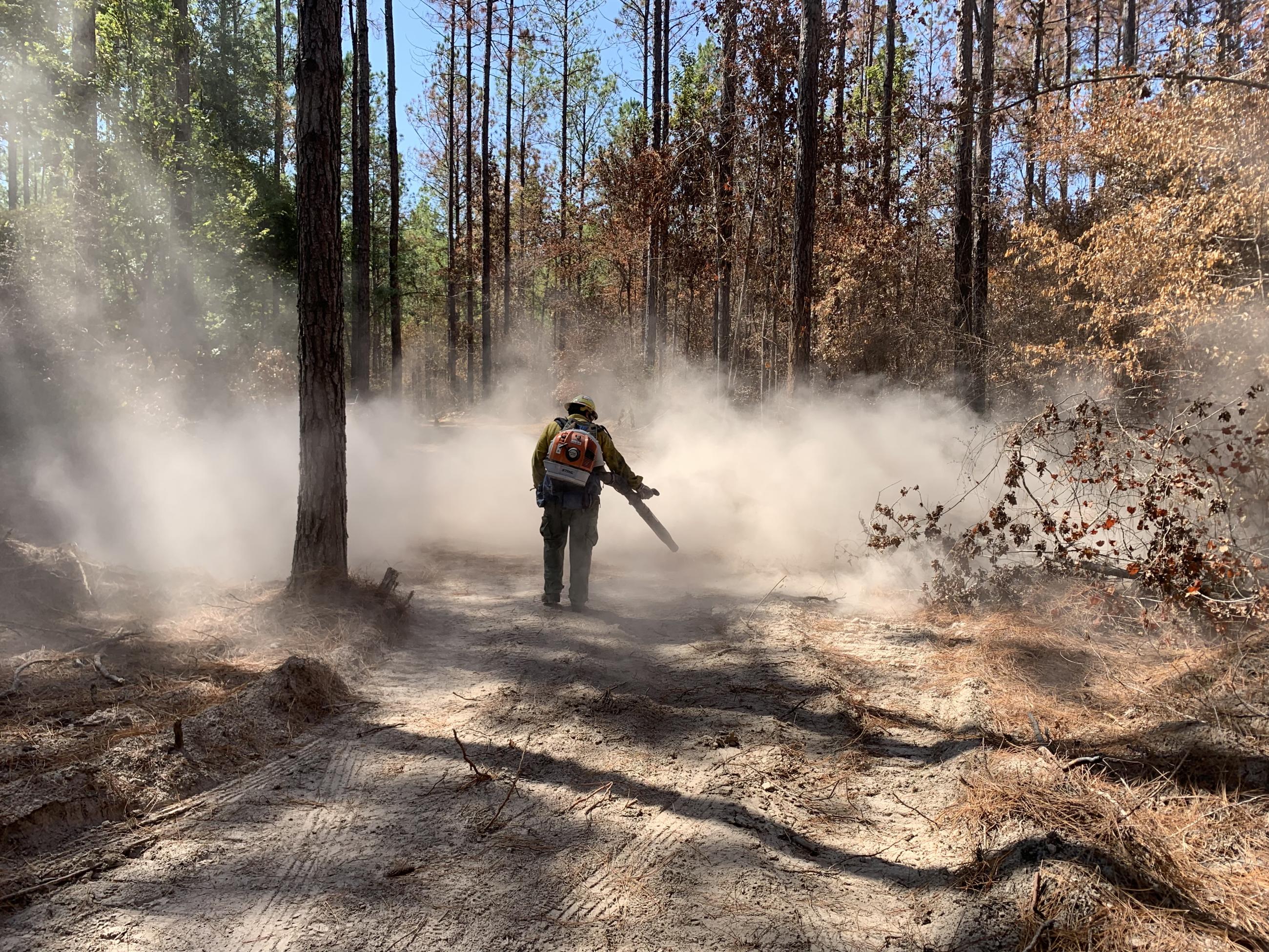 Firefighter Blowing Out Fireline