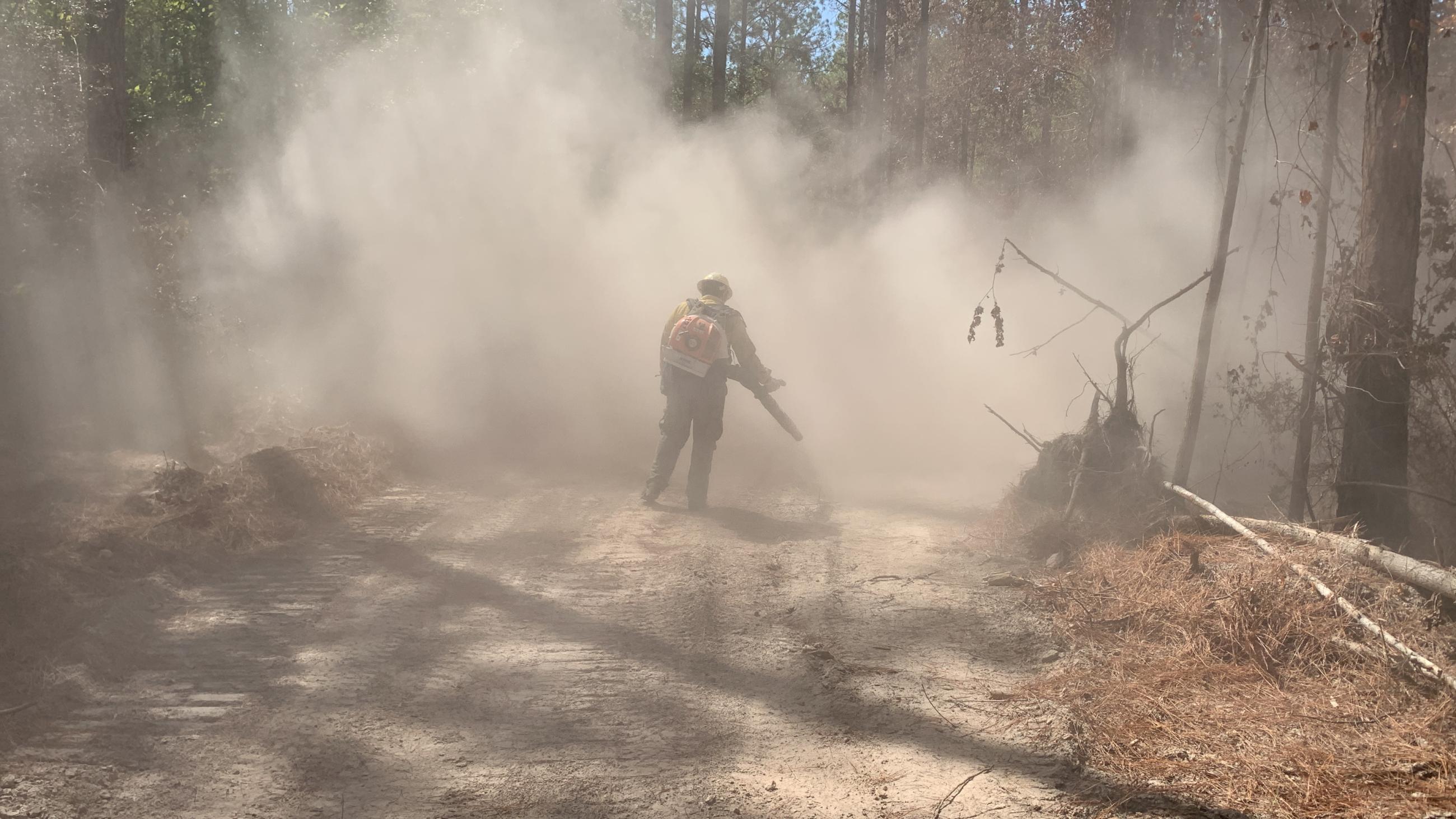 Firefighter Blowing Out Fireline