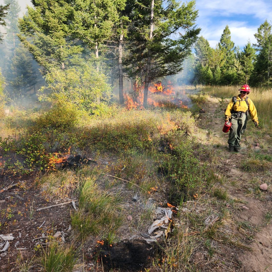 Firefighter with a trip torch, fire in the background