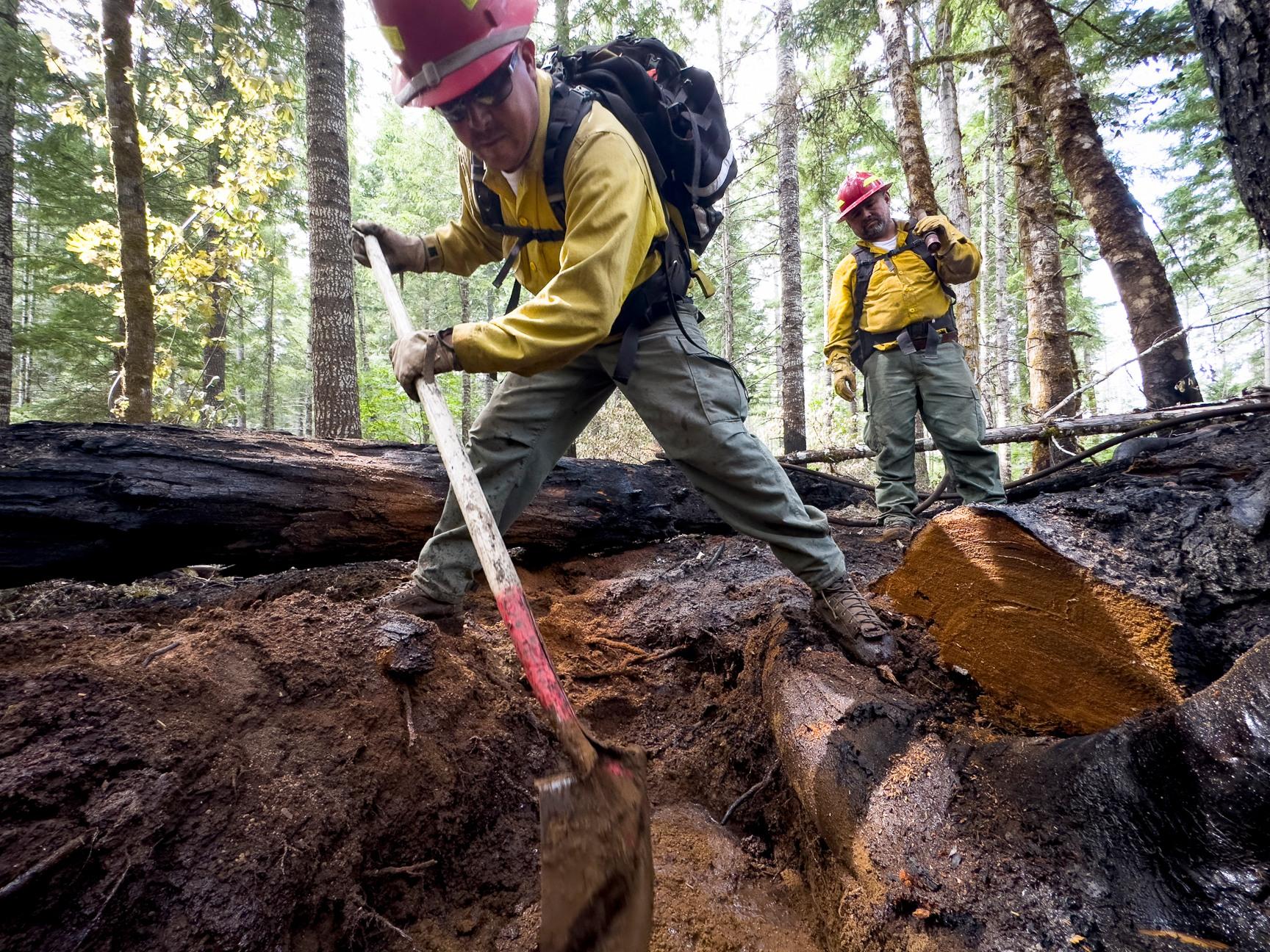 Firefighter uses shovel to find heat deep in teh trees roots