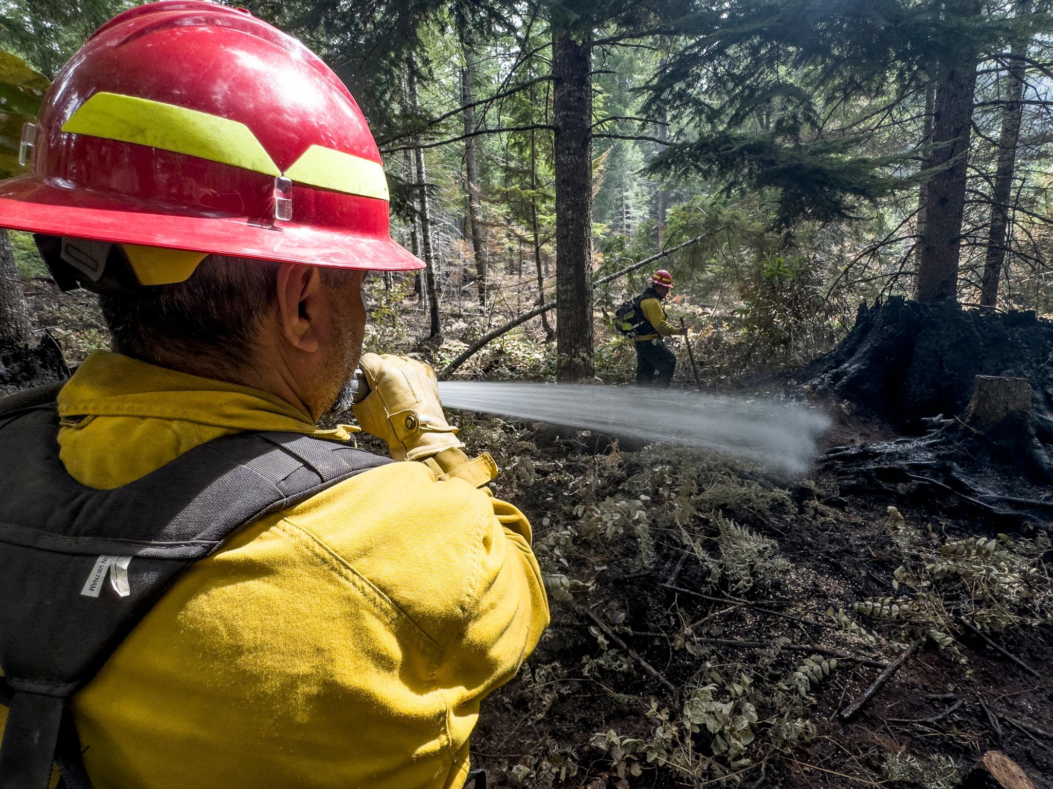 A firefighter sprays water on smoldering roots.