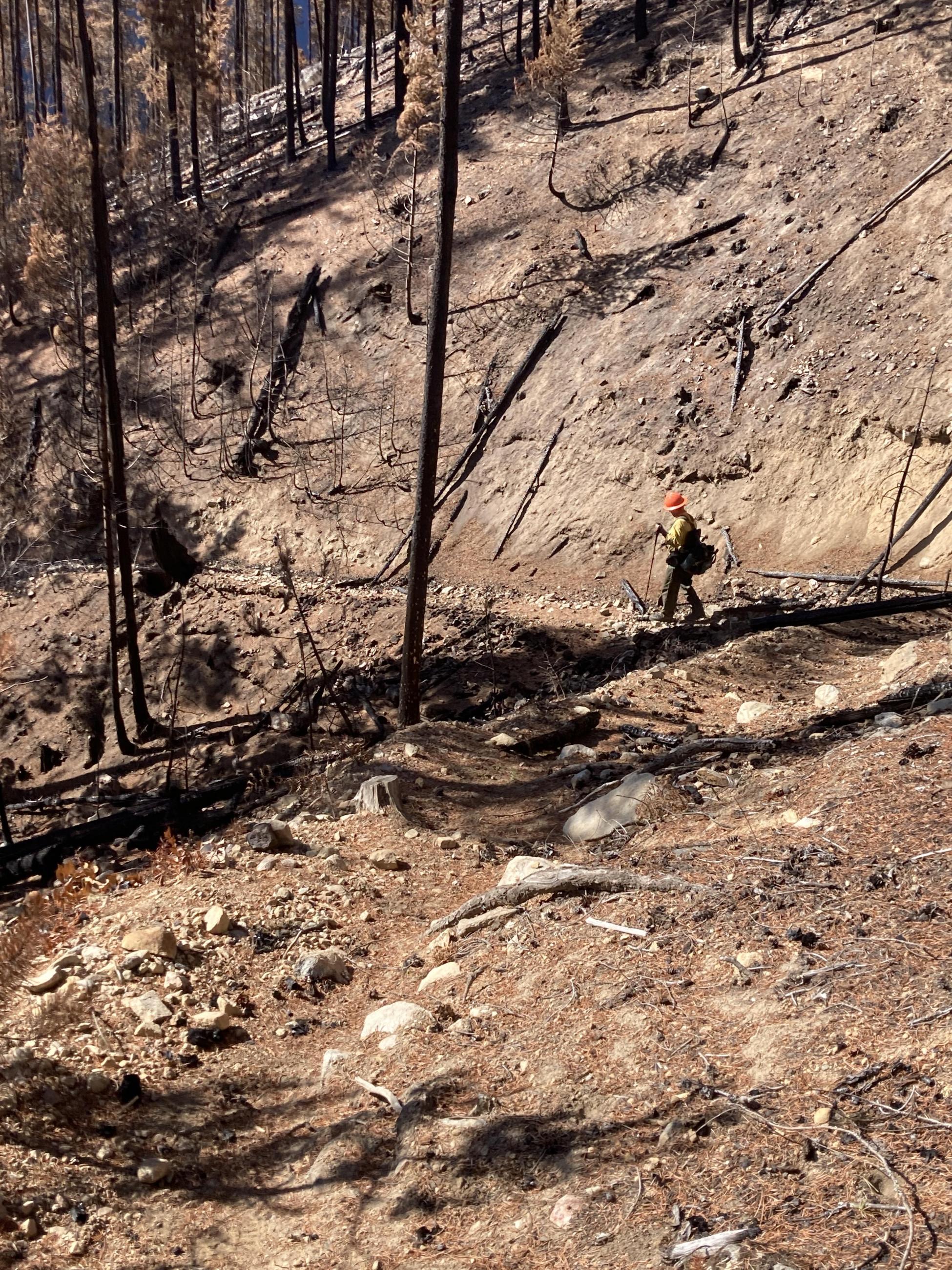 A man in helmet, yellow shirt, and green pants hikes on a dirt trail surrounded by bare dirt caused by a wildfire