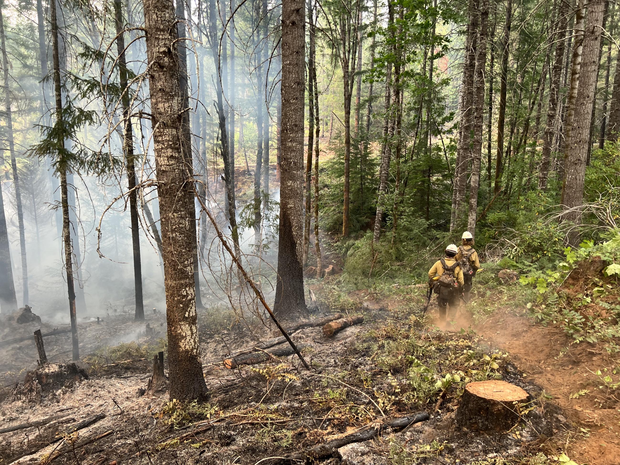 A smoky forest is seen at right while two firefighters walk down a fire line.