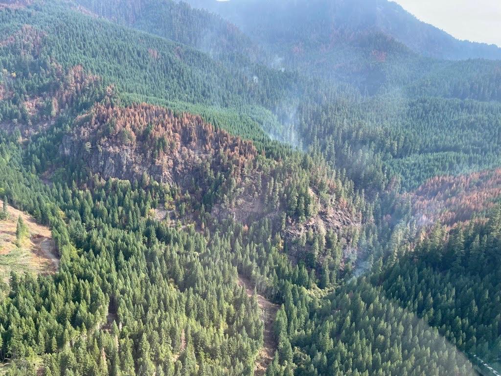 Areial view of the Chilcoot Fire, showing pockets of brown trees and some smoke