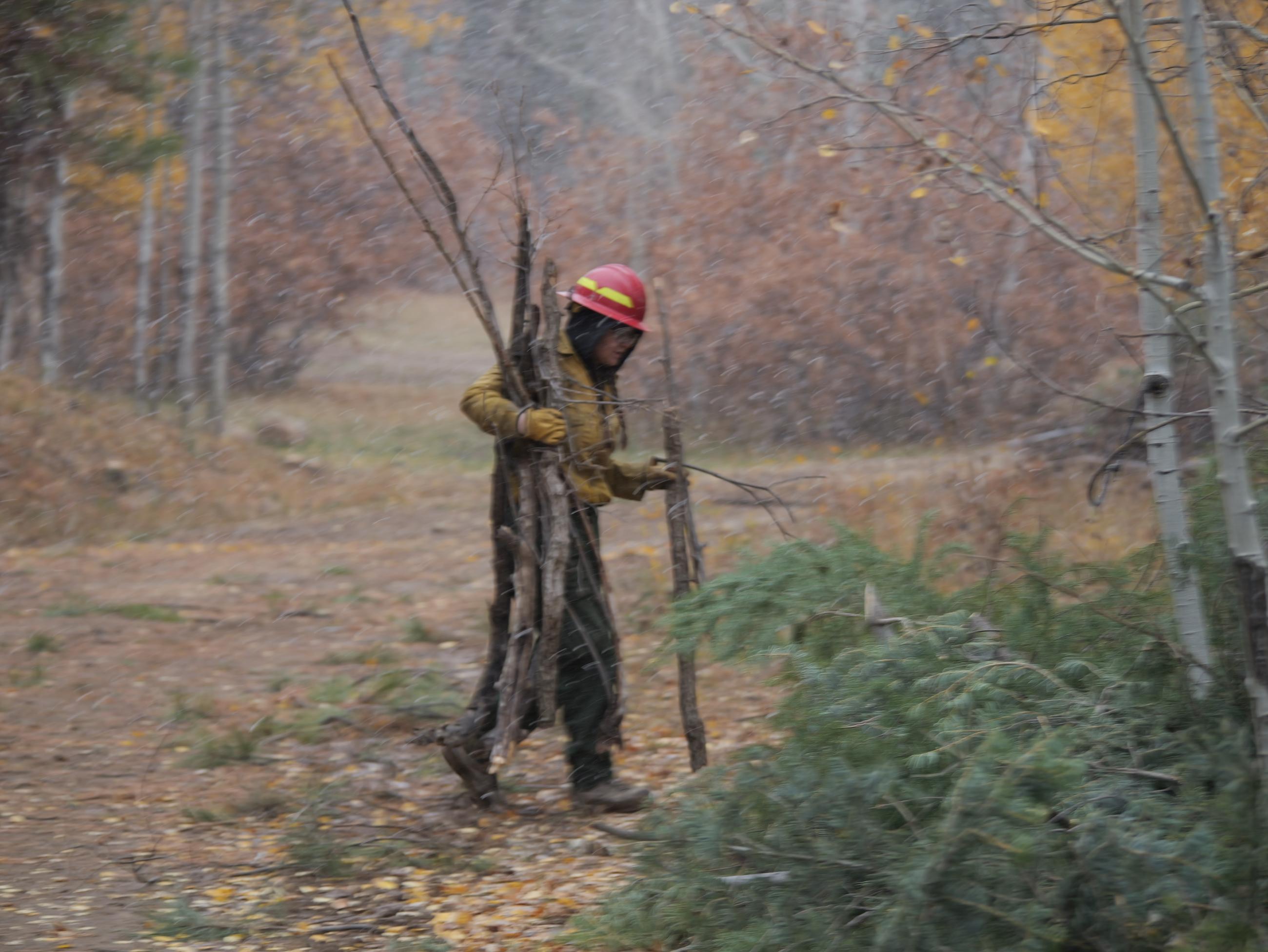 A member of a hand crew moves brush during a short snow squall on October 29, 2023 during the Trail Springs Fire