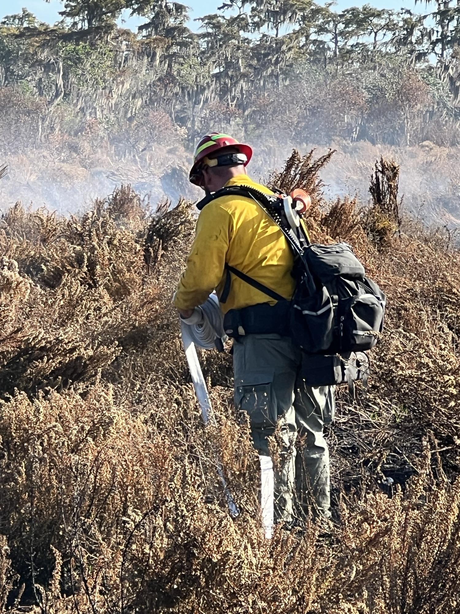 This is an image of of firefighter unrolling fire hose