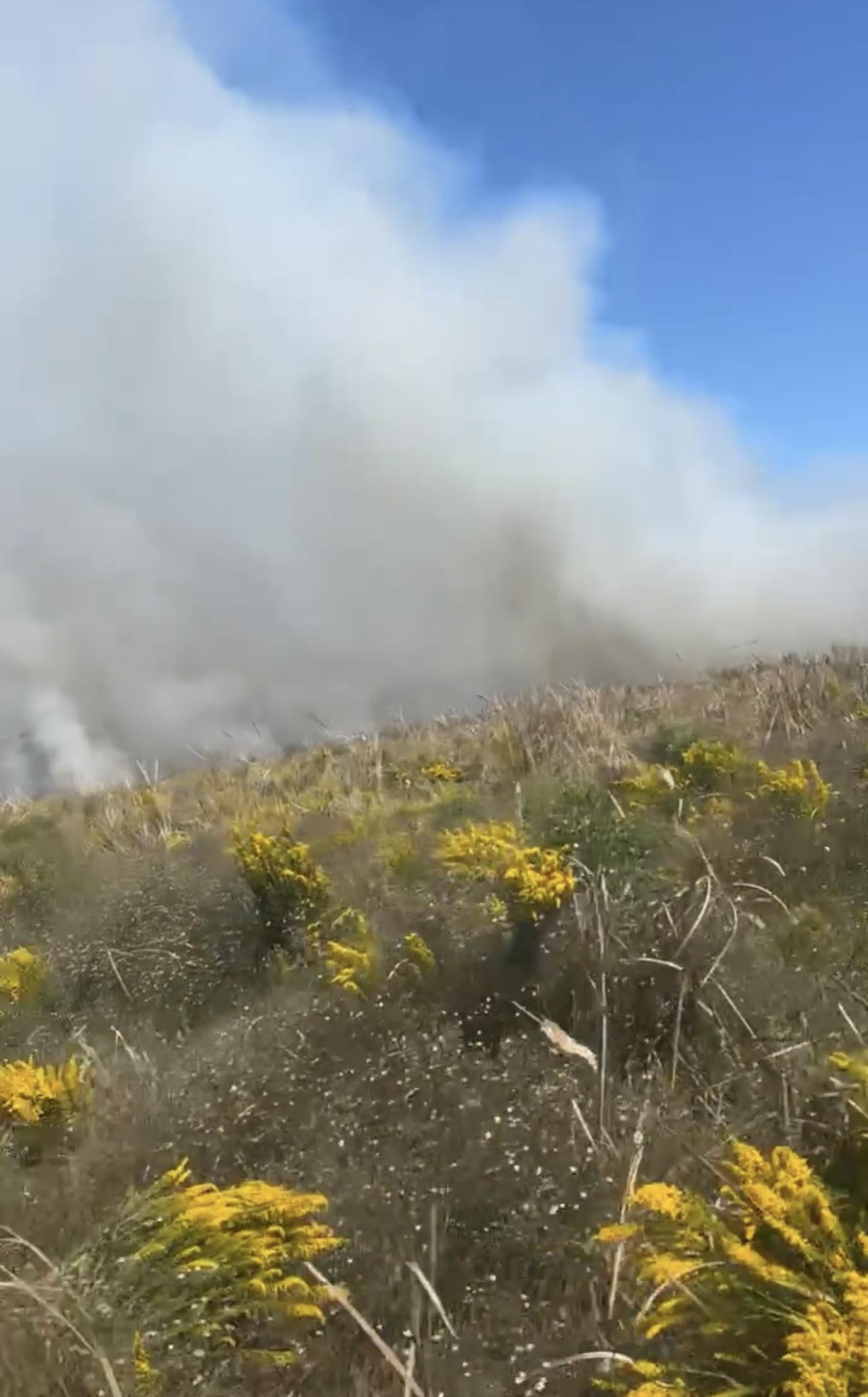 This is an image of the first day of the fire