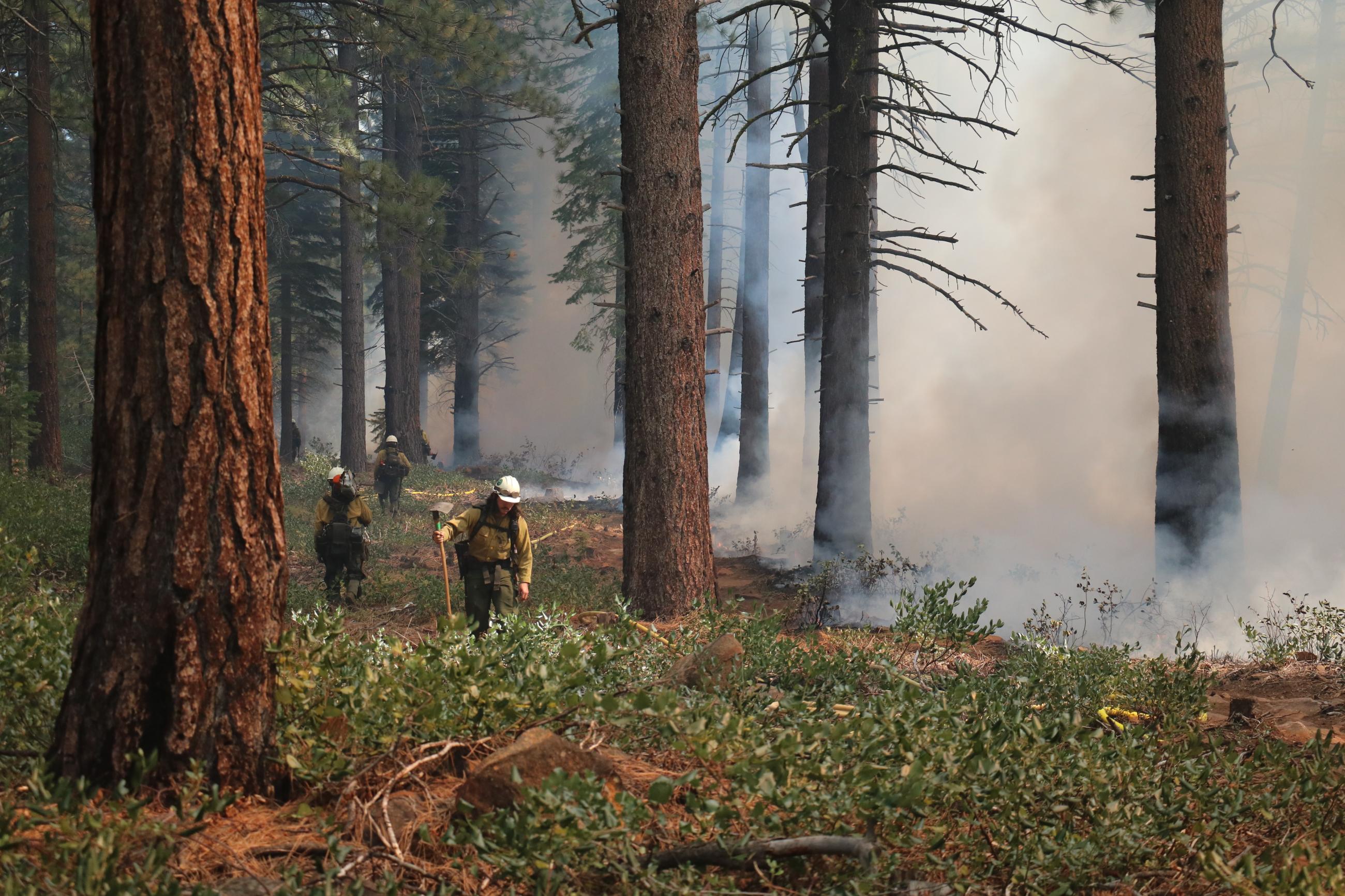 Firefighters monitoring planned prescribed burn on the Tahoe National Forest