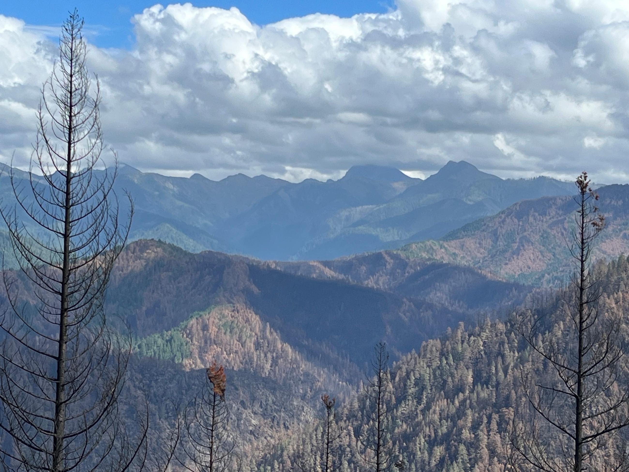 Gasquet Toll Road Looking at Shelly & Monkey Creek Ridges