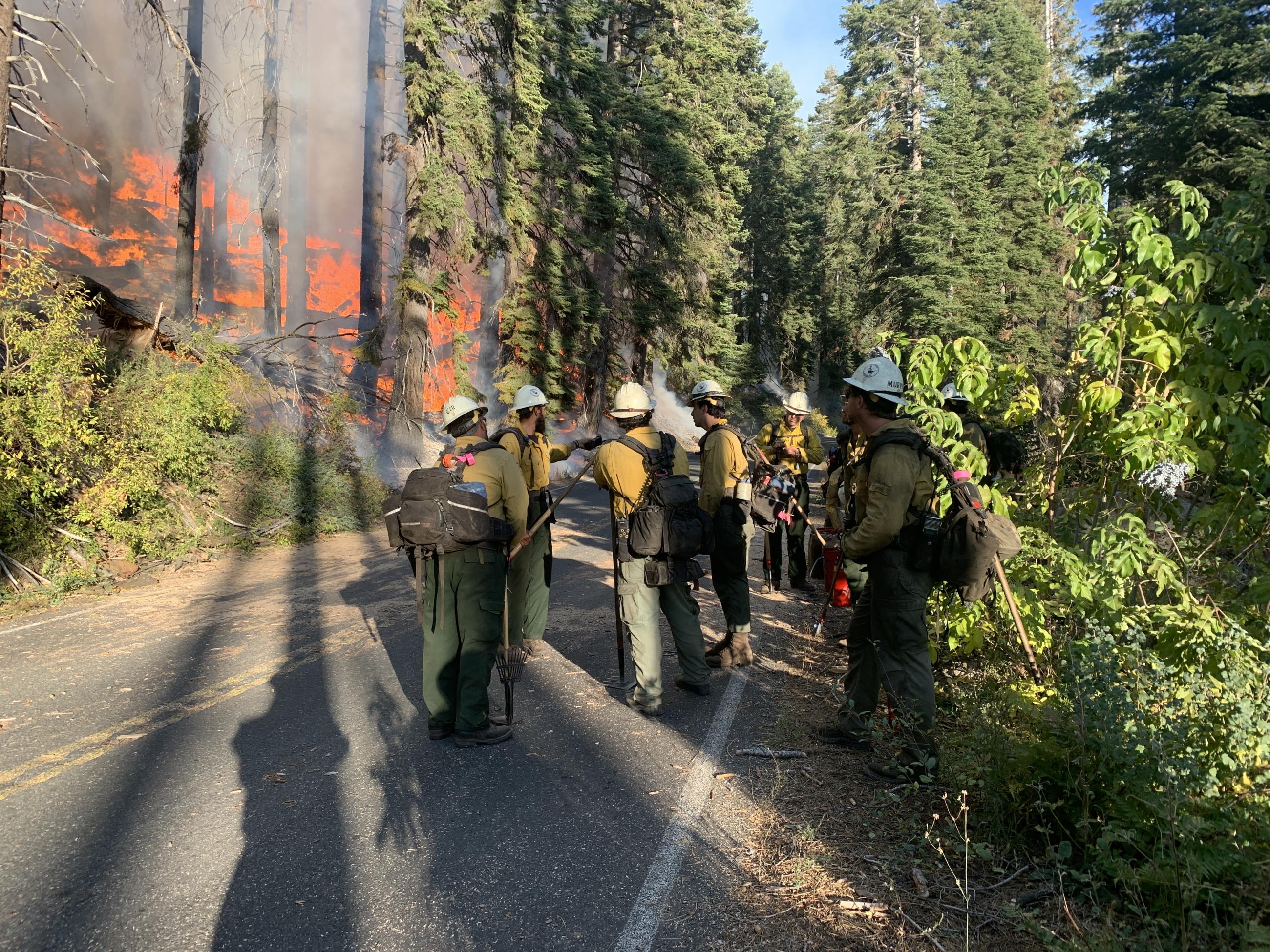 Firing Operations on the rabbit fire