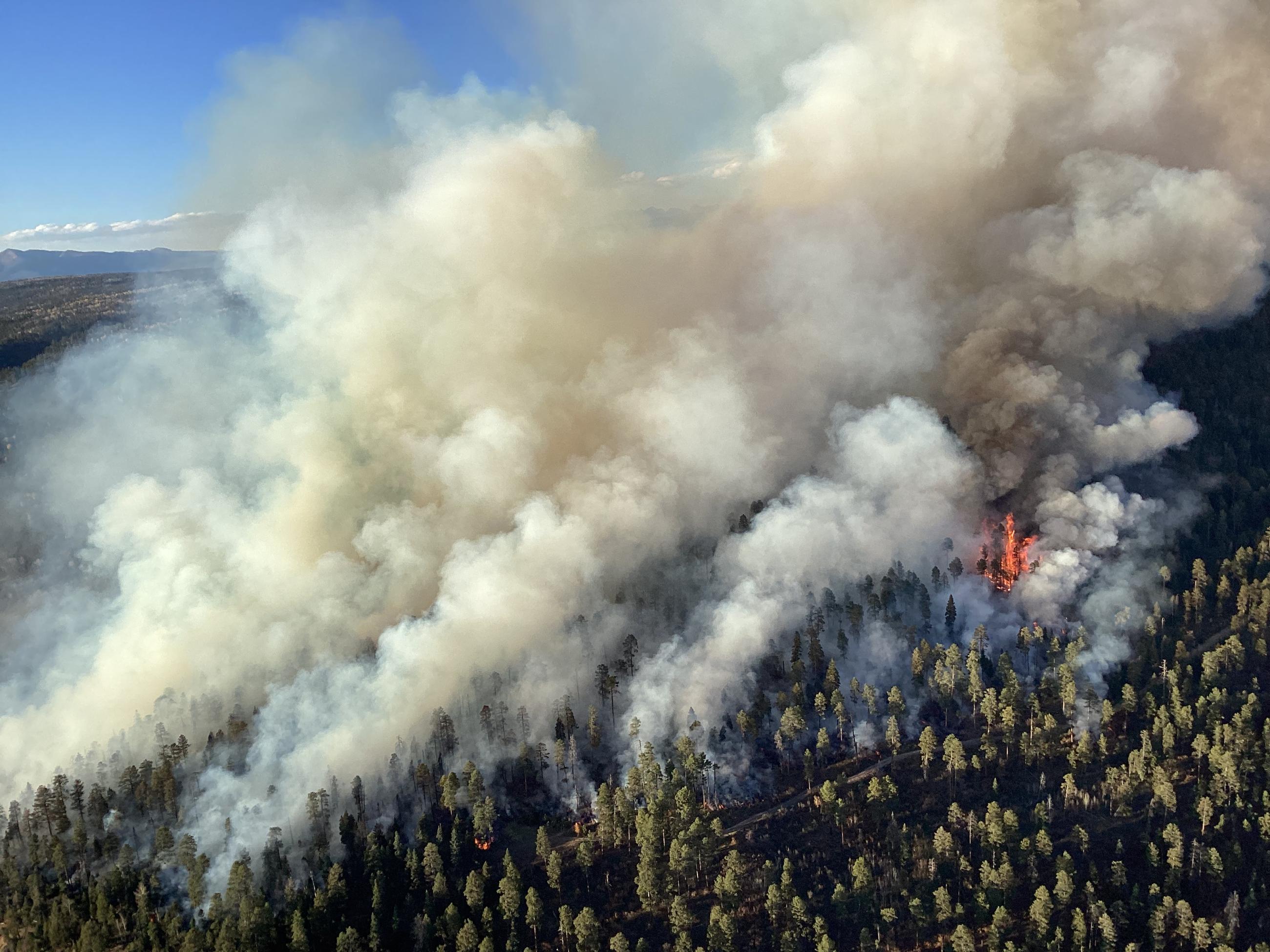 The photo shows multiple lines of smoke rising from a burning slope in the Trail Springs Fire on October 21, 2023