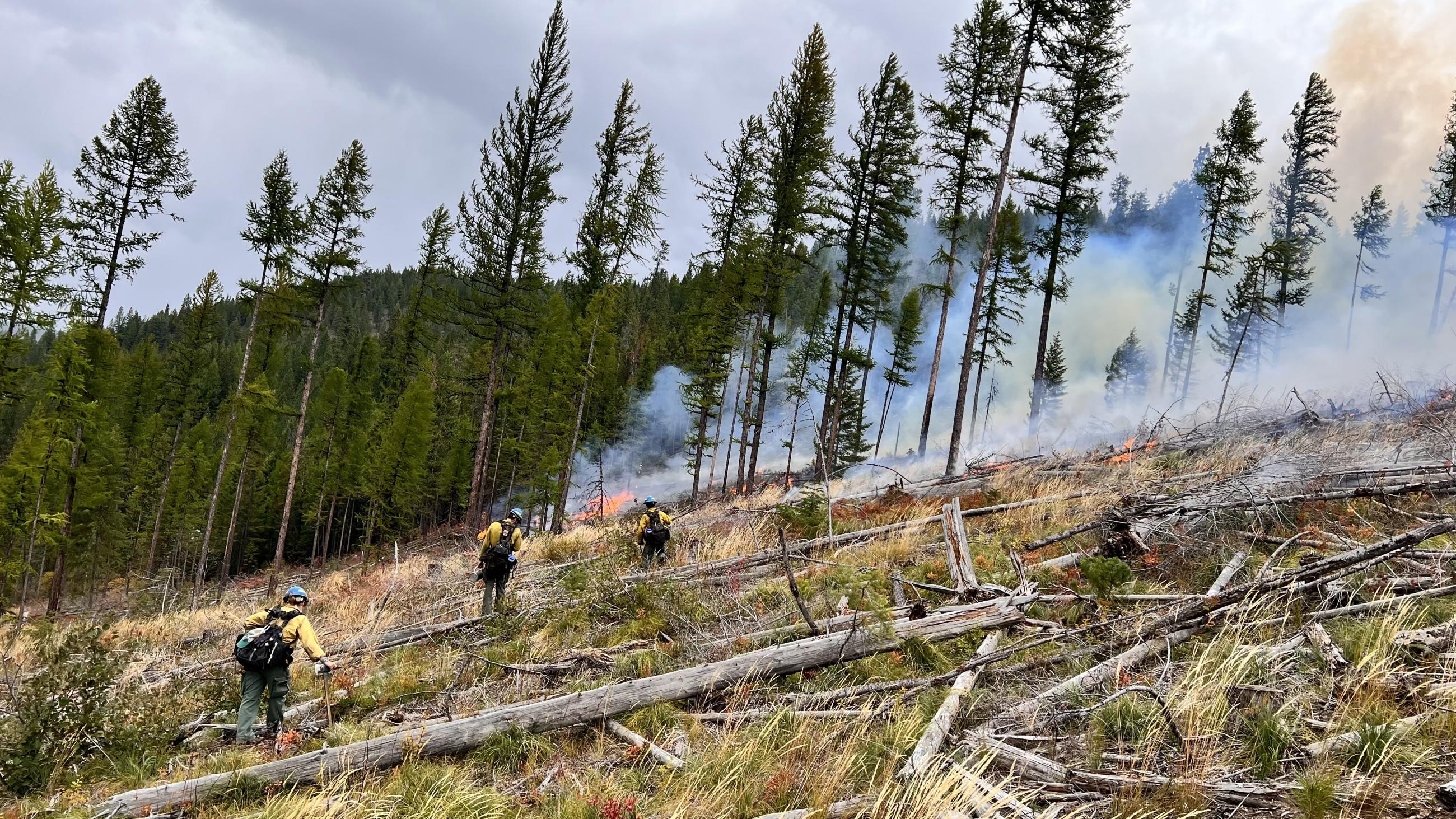 Smoke in the woods with three firefighters hiking to it