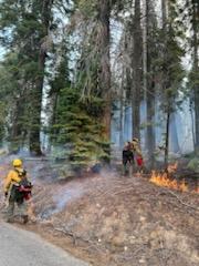 Firing Operations on the rabbit fire 10/15/2023