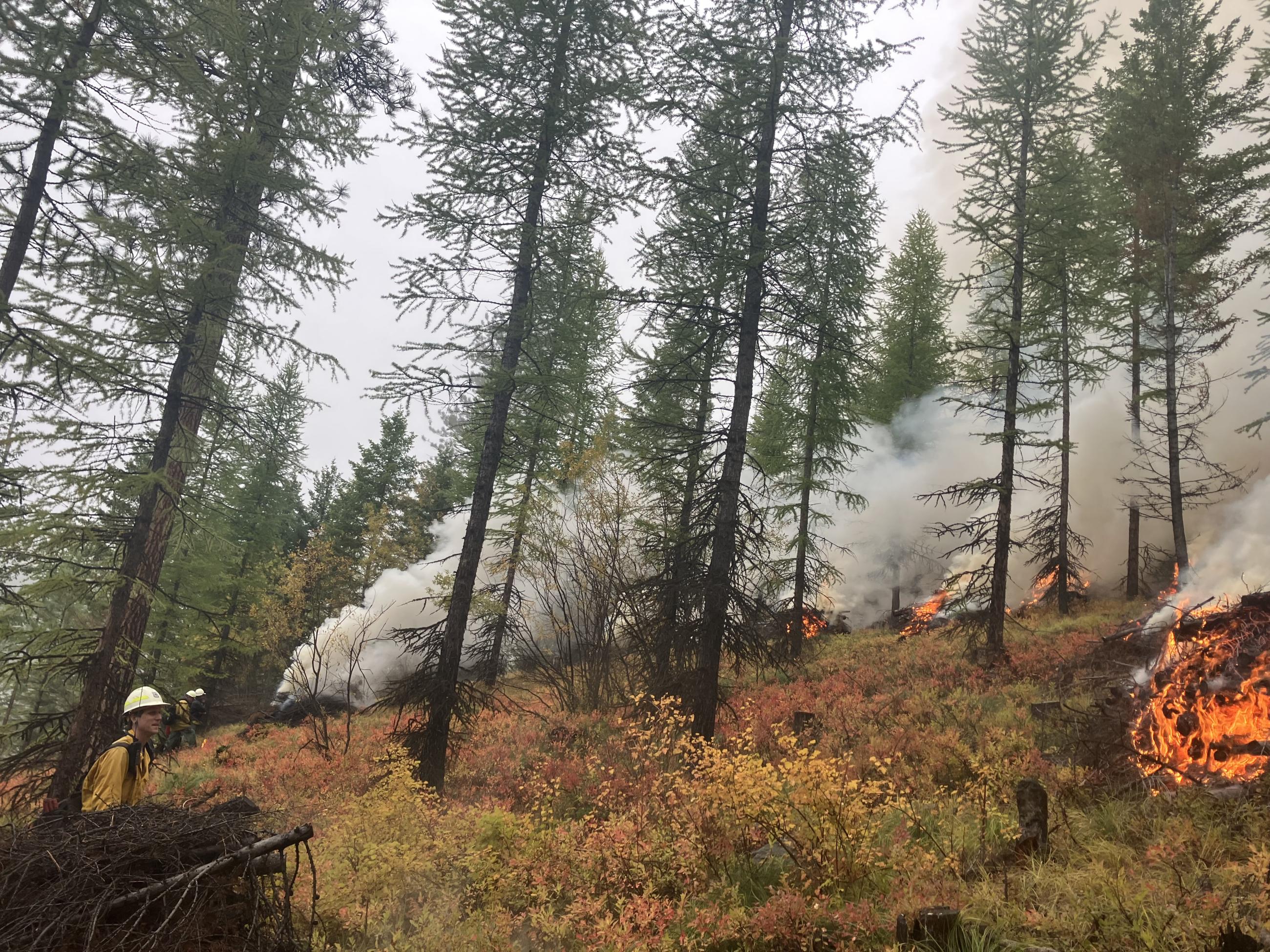 Firefighter watching piles of fuel in the forest burn.  