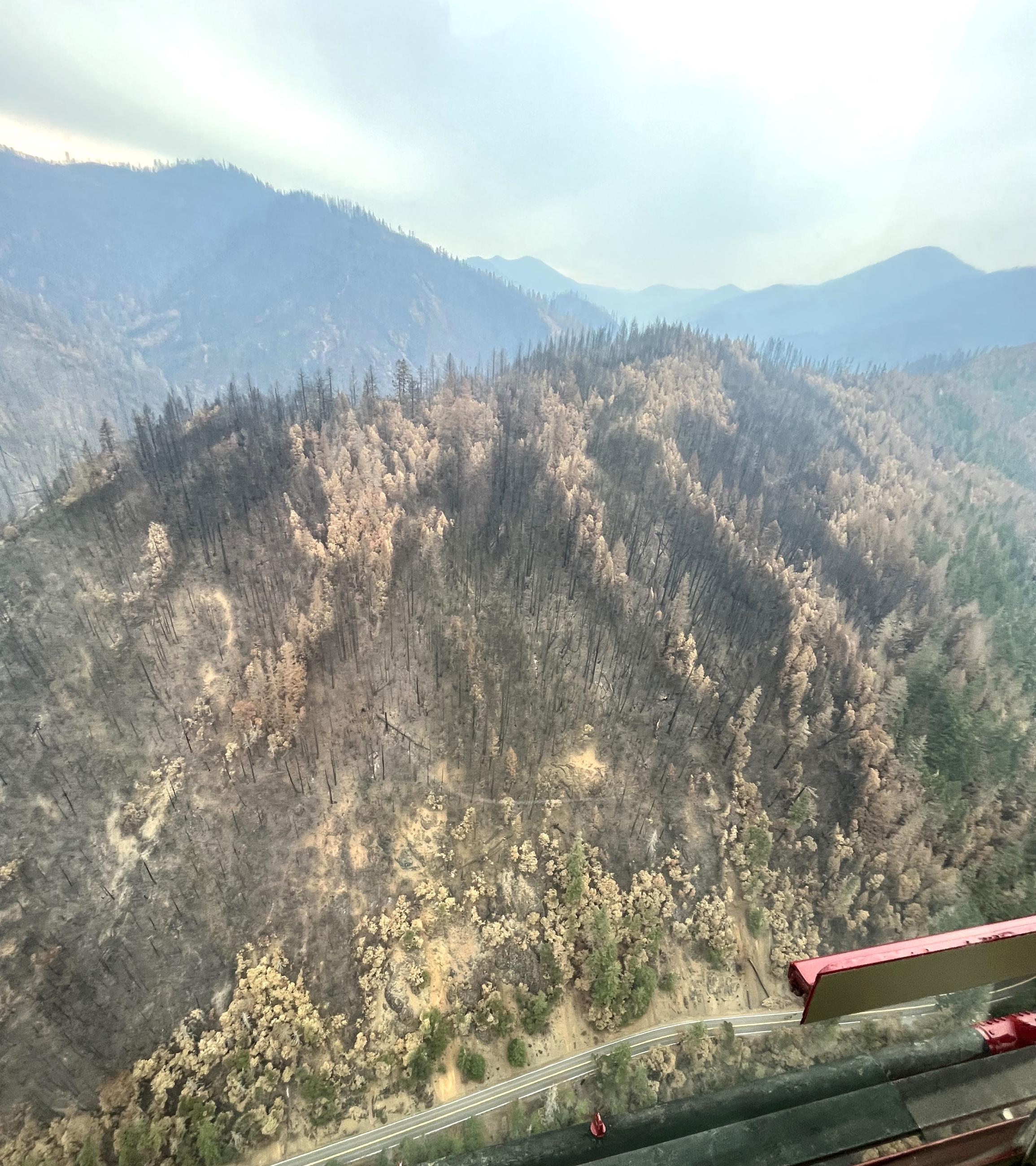 Aerial reconnaissance of the Smith River Complex Burned Areas
