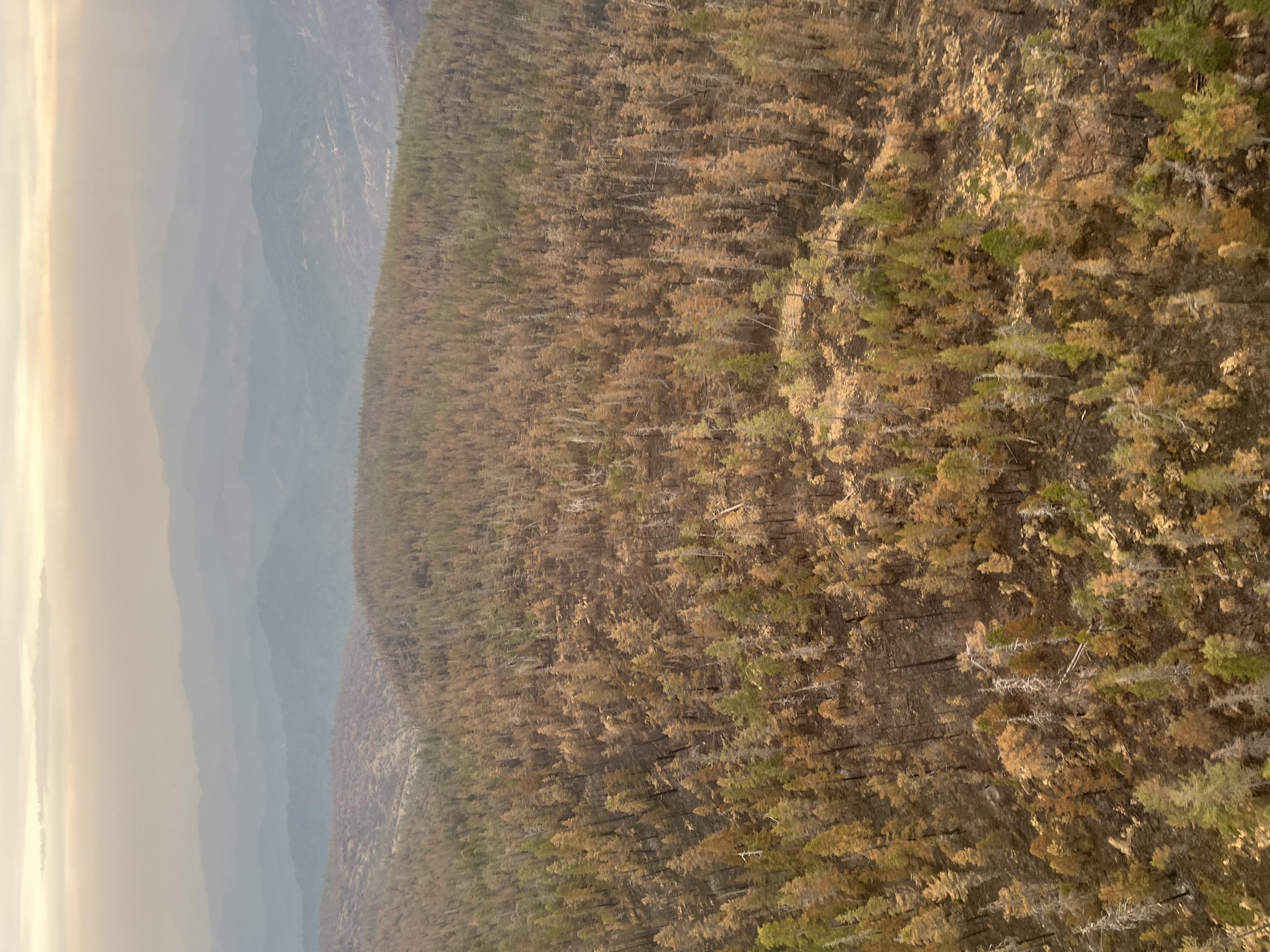 Aerial reconnaissance of the Smith River Complex Burned Areas