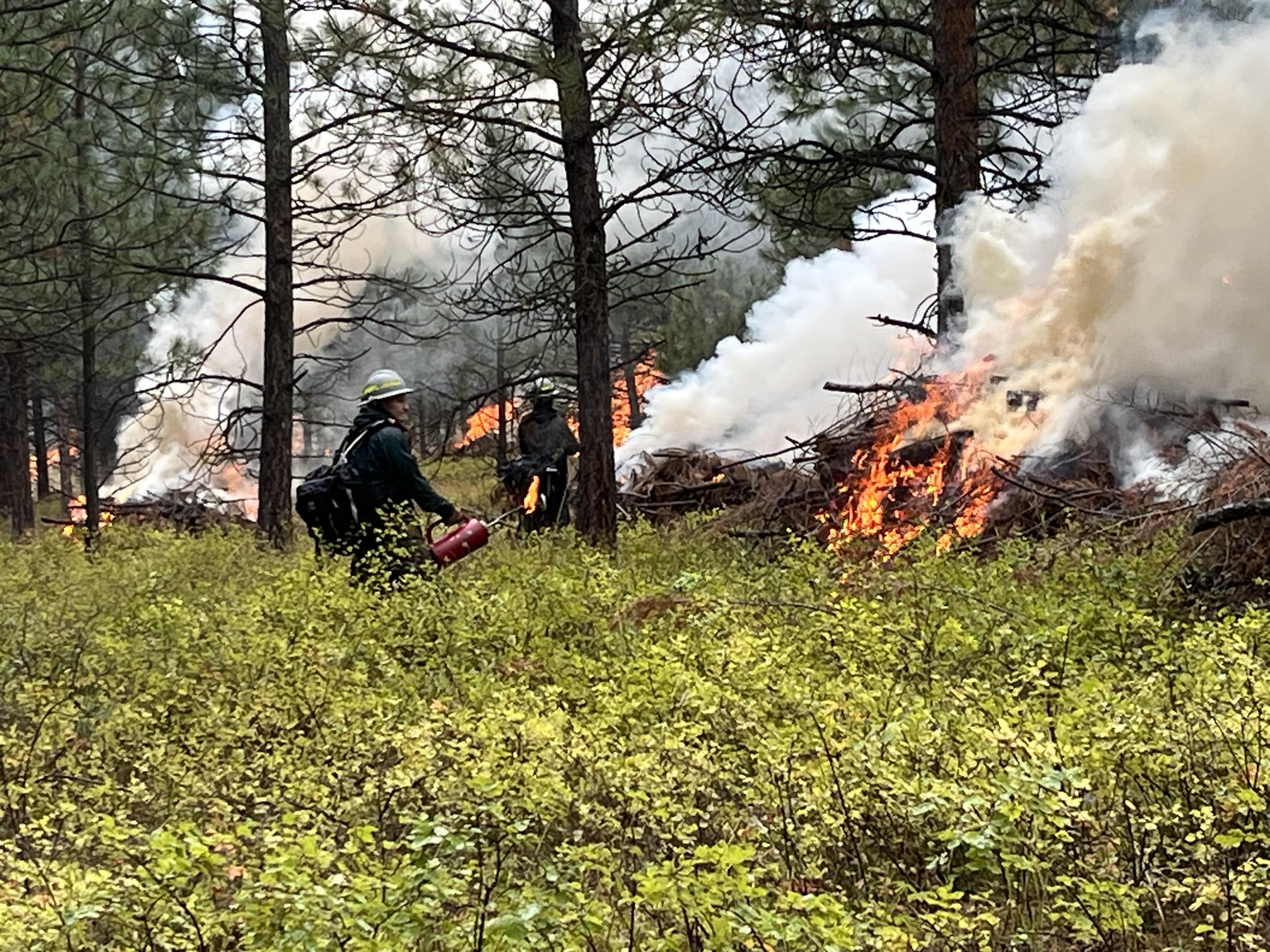 Firefighter standing with driptorch near pile burn 