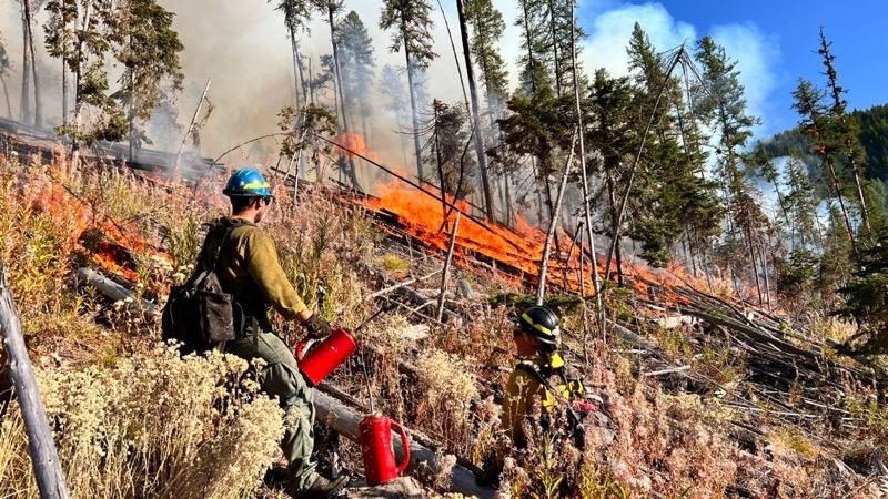 Two firefighters standing in the forest near flames with a drip torch in hand 