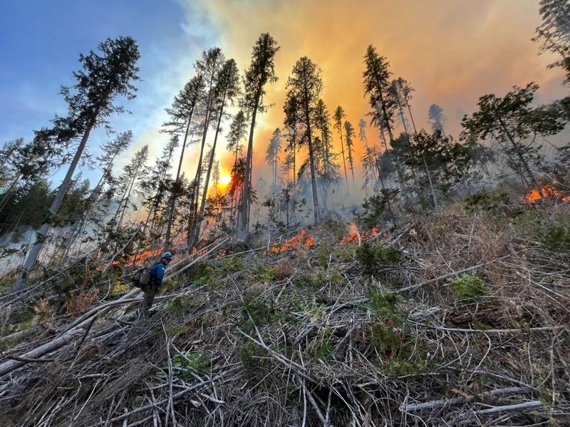 Prescribed Fire with smoke and flames in the background 