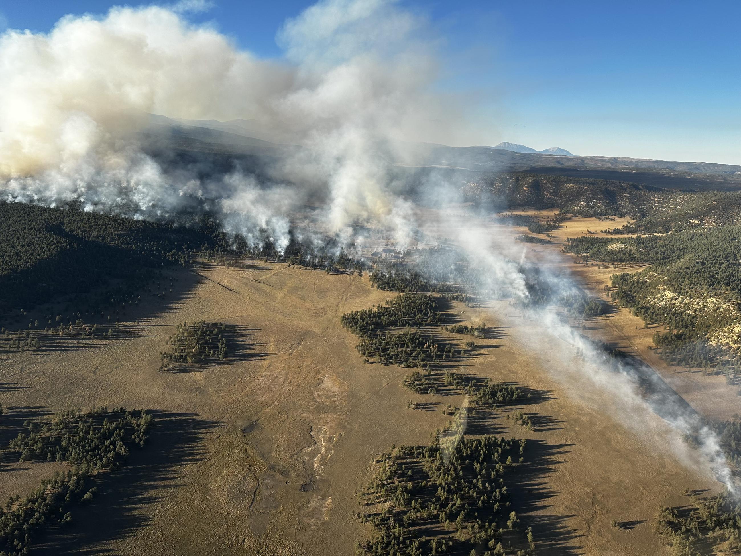 Aerial view of white smoke rising from forested and meadow areas.