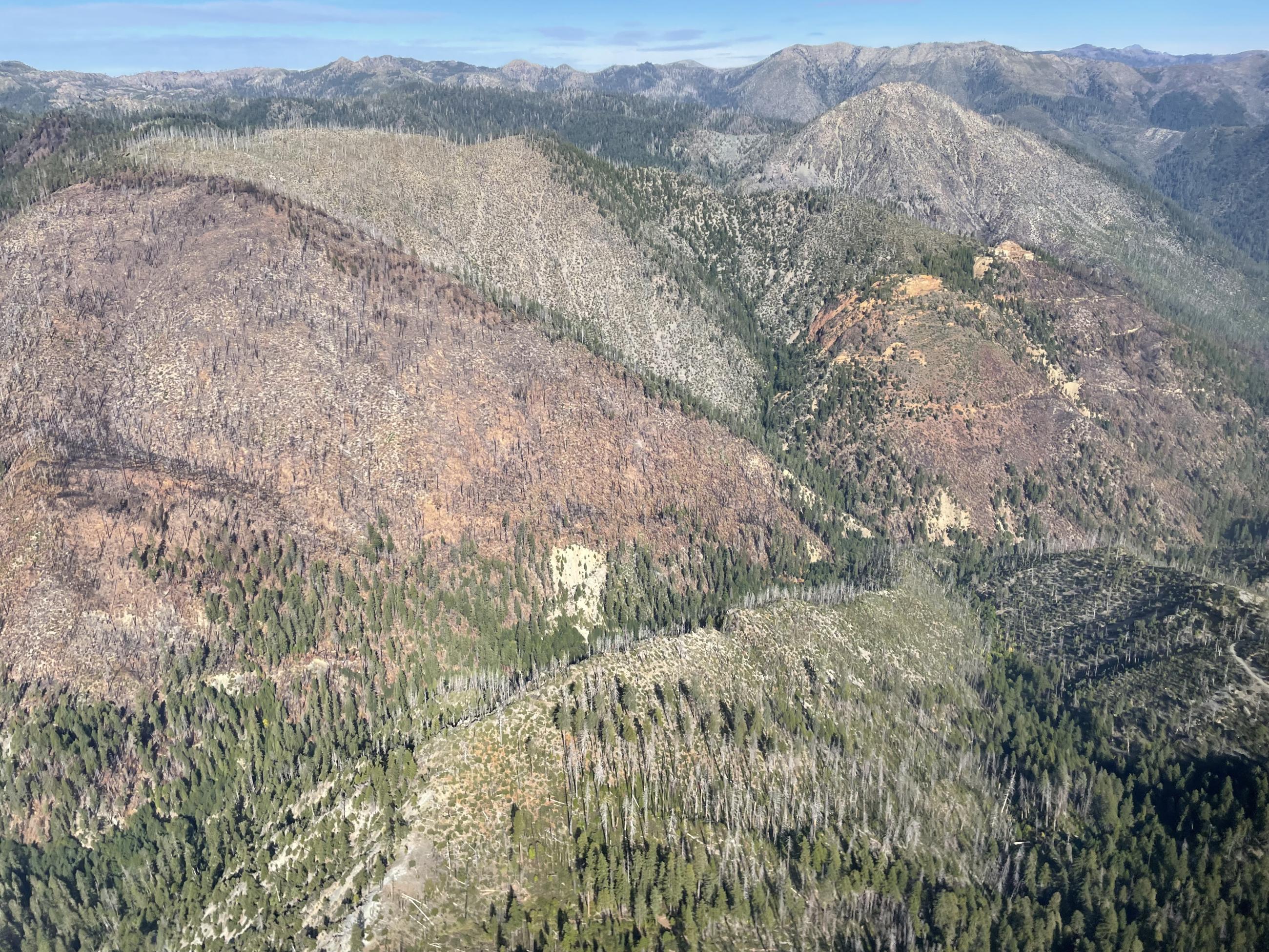 Mosquito Fire - burn above and west of Copper Creek with Siskan Mine on rightside